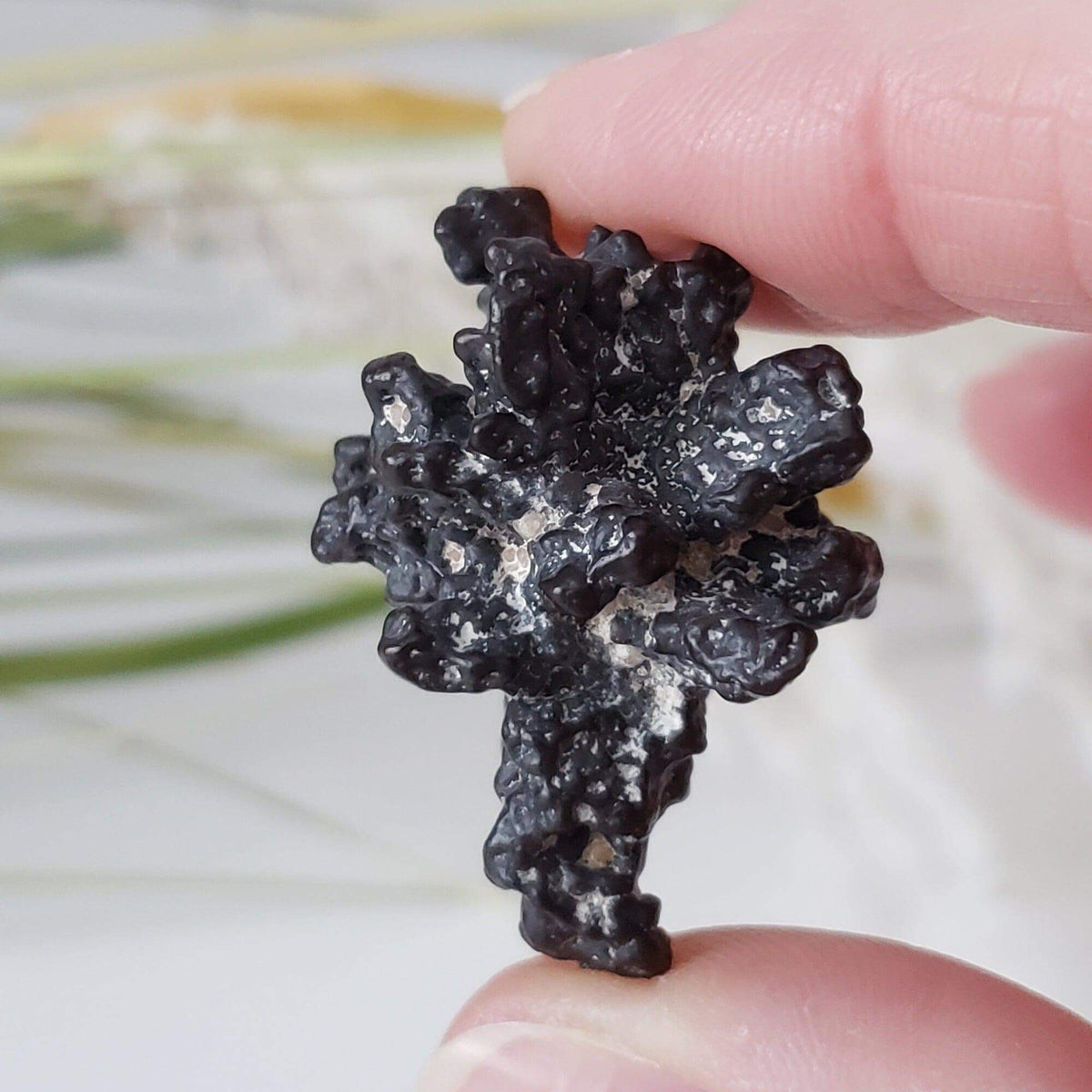  Pseudomorph Goethite After Marcasite | Prophecy Stone | 17.9 gr | Farafra Oasis, Egypt | SO24 1