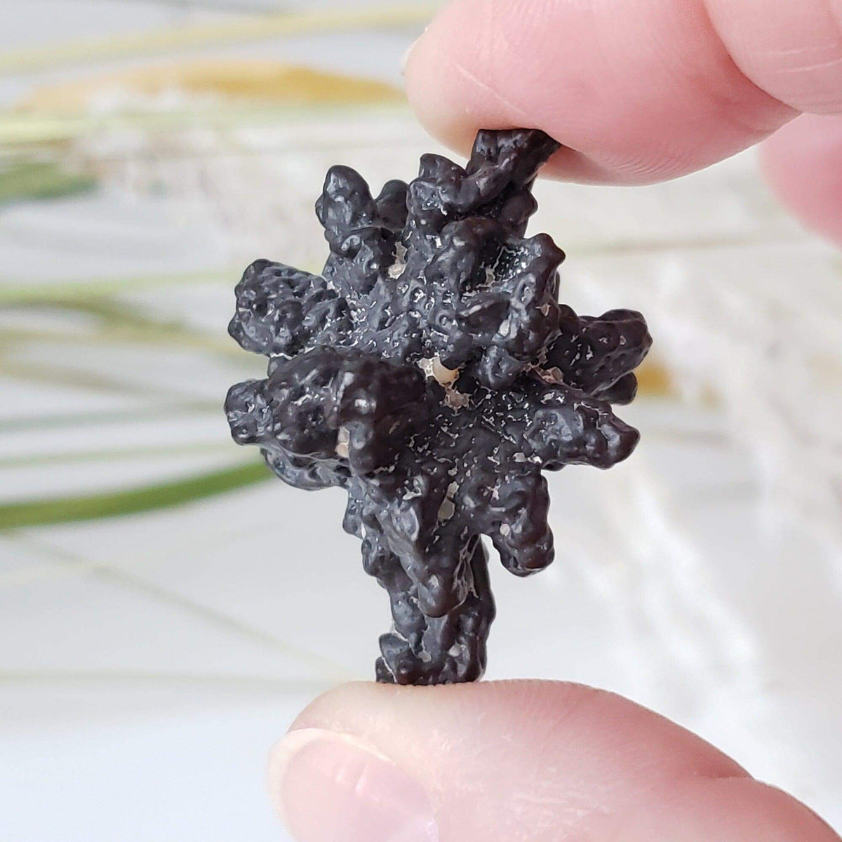  Pseudomorph Goethite After Marcasite | Prophecy Stone | 17.9 gr | Farafra Oasis, Egypt | SO24 2