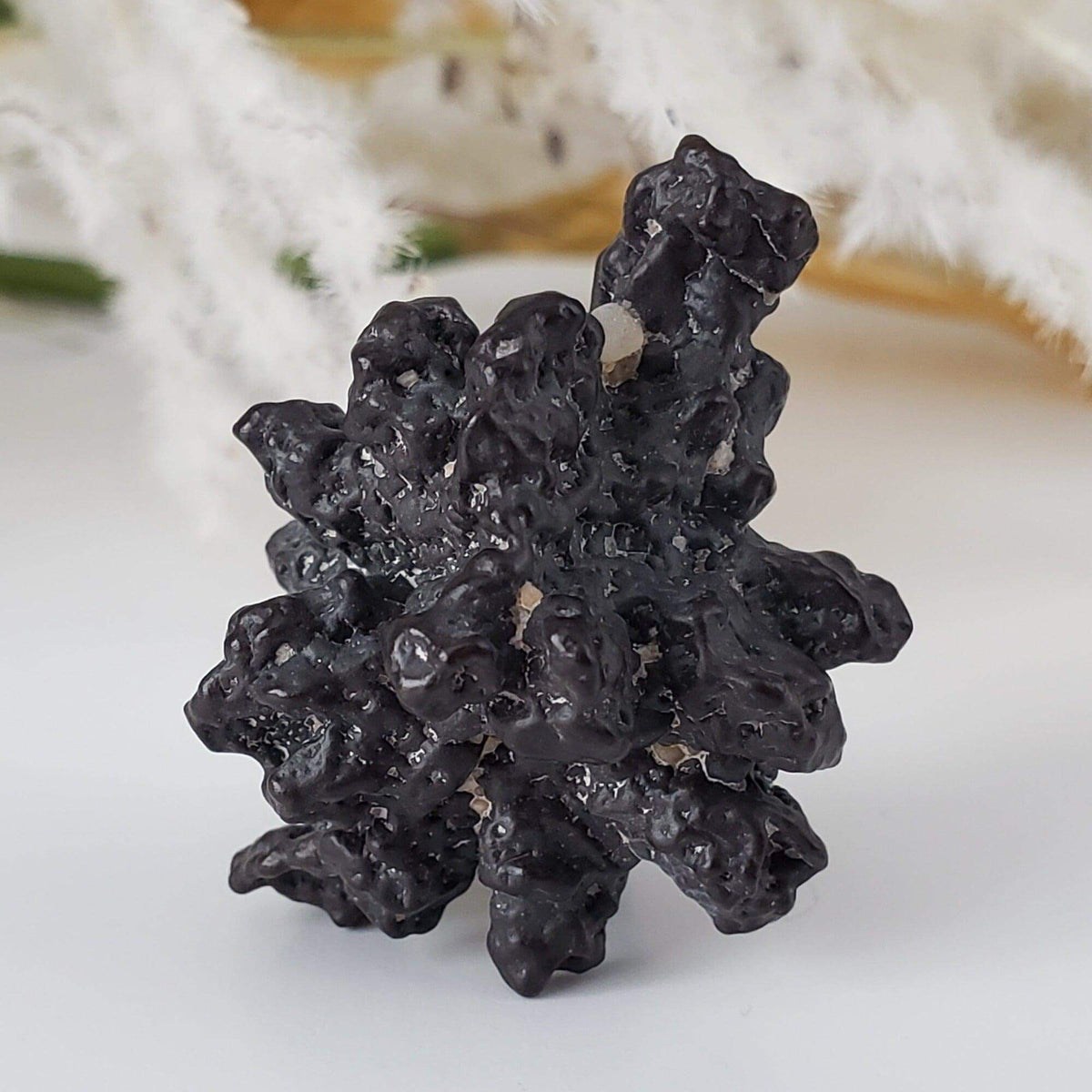  Pseudomorph Goethite After Marcasite | Prophecy Stone | 17.9 gr | Farafra Oasis, Egypt | SO24 4