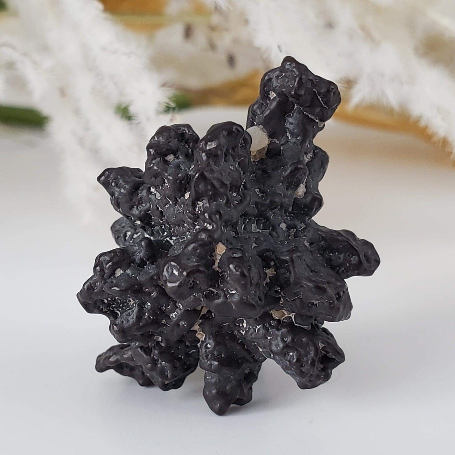  Pseudomorph Goethite After Marcasite | Prophecy Stone | 17.9 gr | Farafra Oasis, Egypt | SO24 4