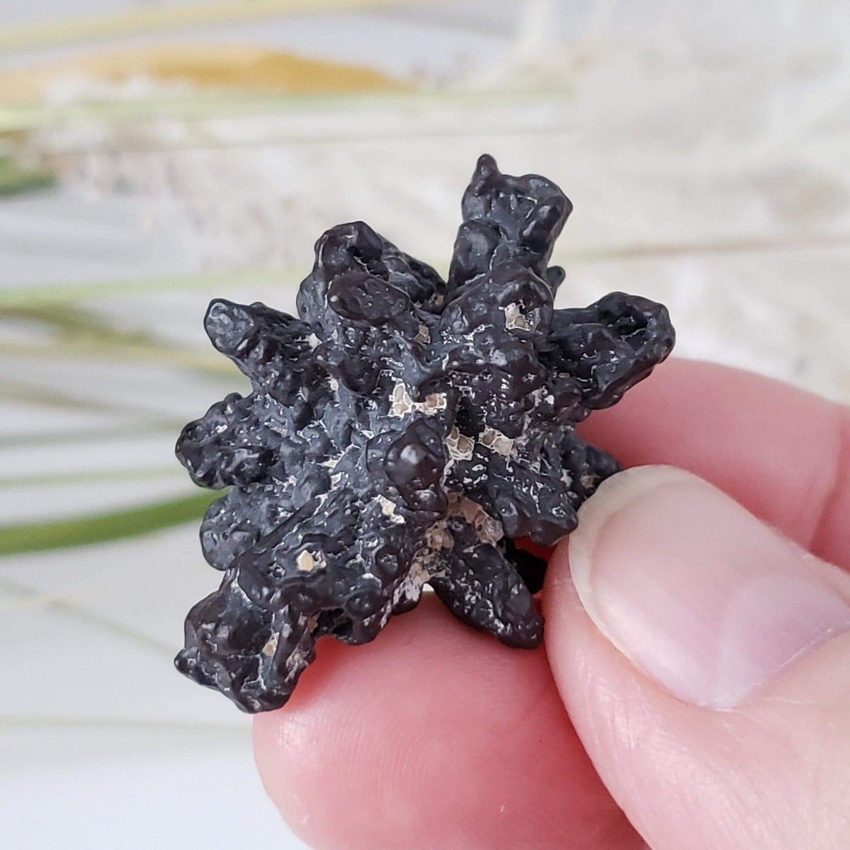  Pseudomorph Goethite After Marcasite | Prophecy Stone | 17.9 gr | Farafra Oasis, Egypt | SO24 5