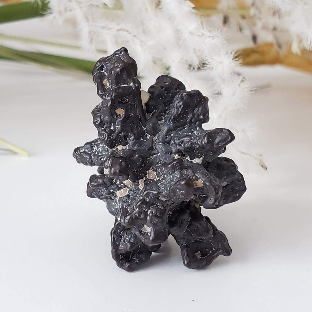  Pseudomorph Goethite After Marcasite | Prophecy Stone | 17.9 gr | Farafra Oasis, Egypt | SO24 6