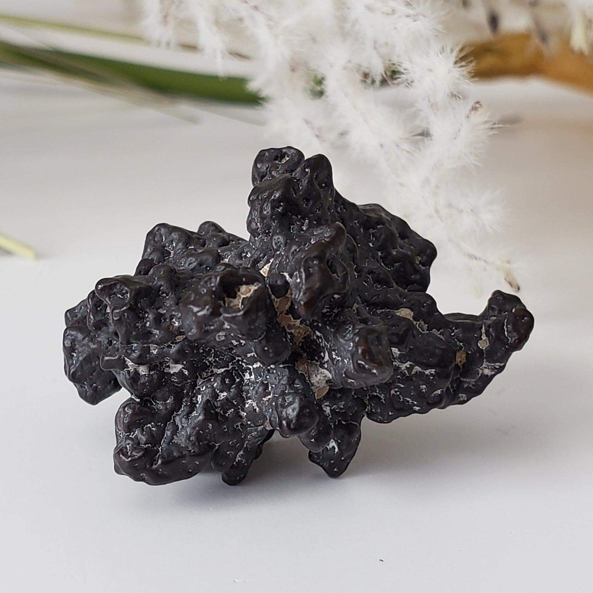  Pseudomorph Goethite After Marcasite | Prophecy Stone | 17.9 gr | Farafra Oasis, Egypt | SO24 7