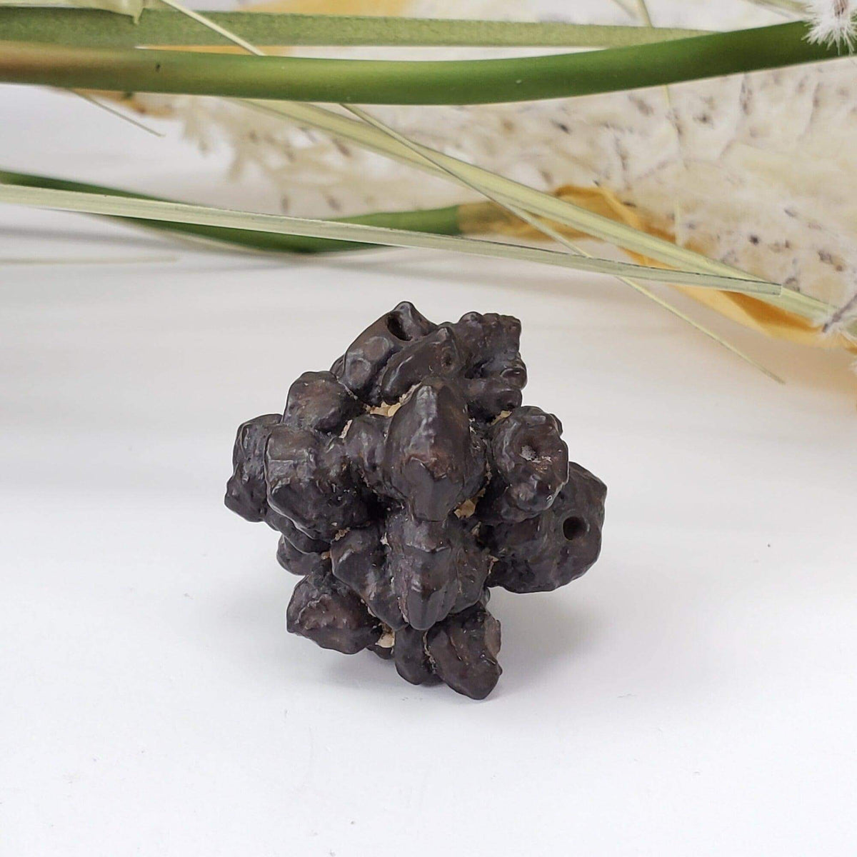  Pseudomorph Goethite After Marcasite | Prophecy Stone | 29 gr | Farafra Oasis, Egypt 