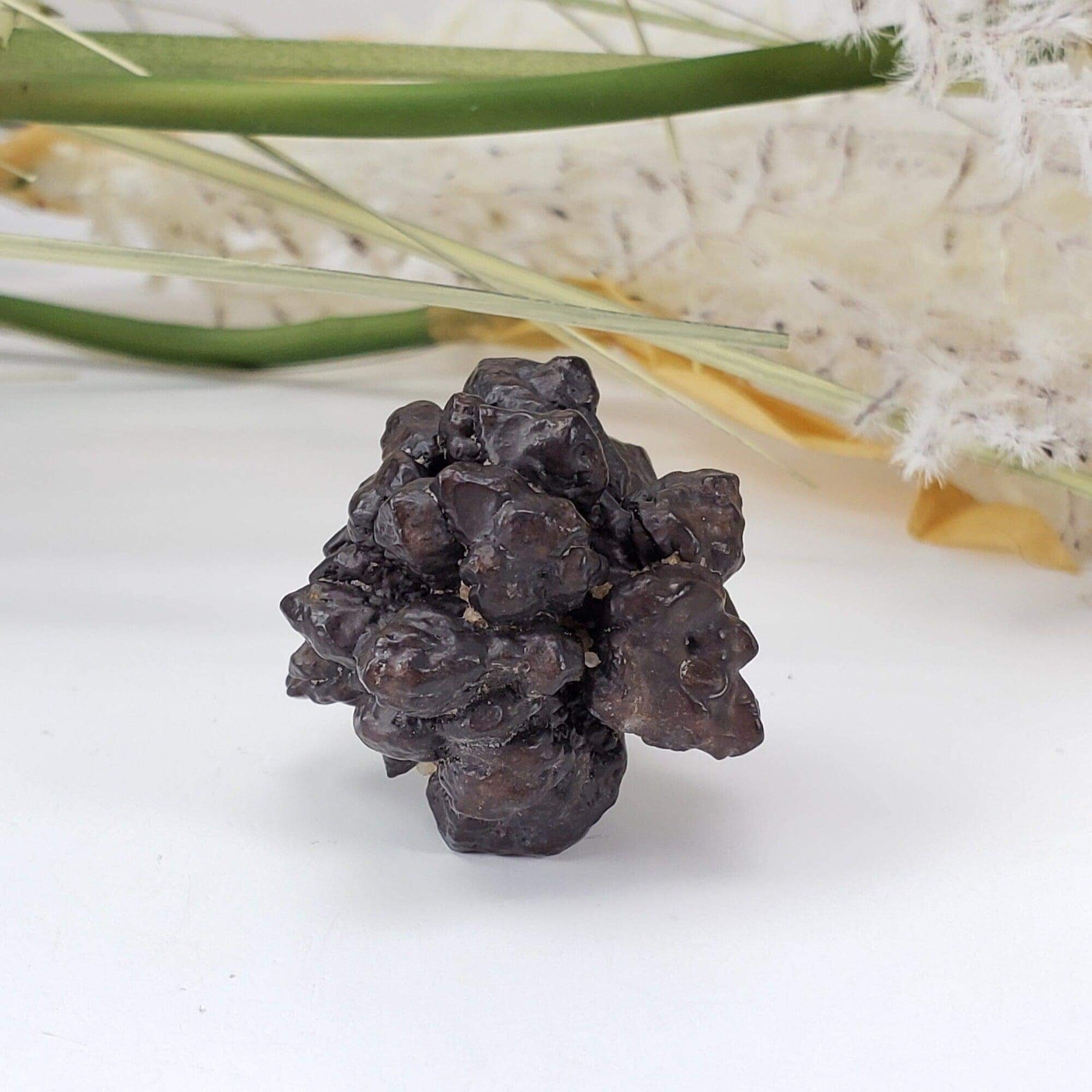  Pseudomorph Goethite After Marcasite | Prophecy Stone | 29 gr | Farafra Oasis, Egypt 2