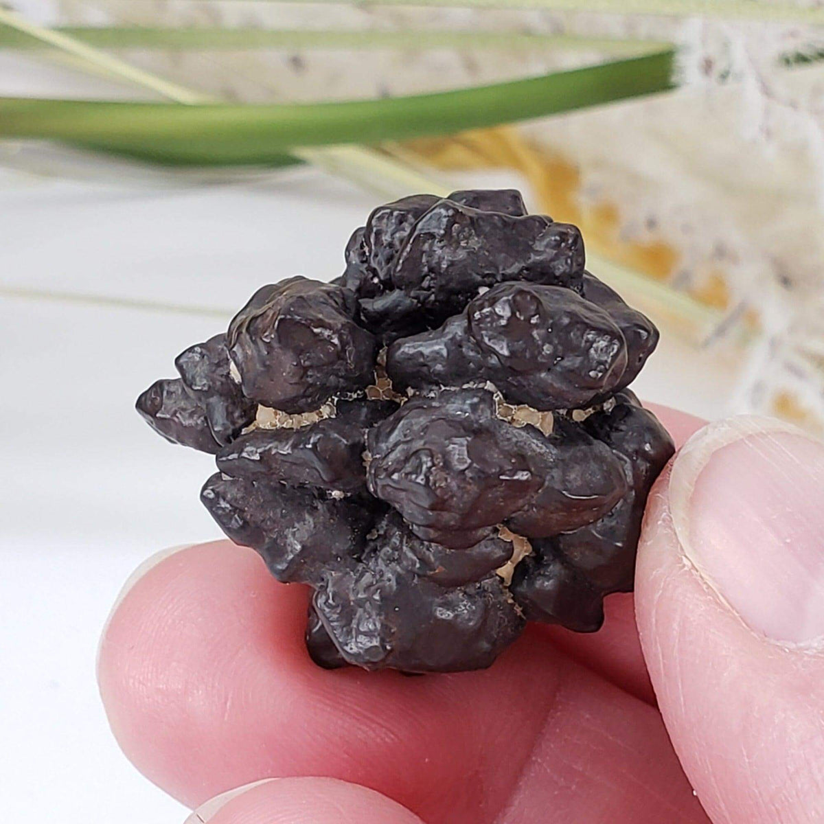  Pseudomorph Goethite After Marcasite | Prophecy Stone | 29 gr | Farafra Oasis, Egypt 3