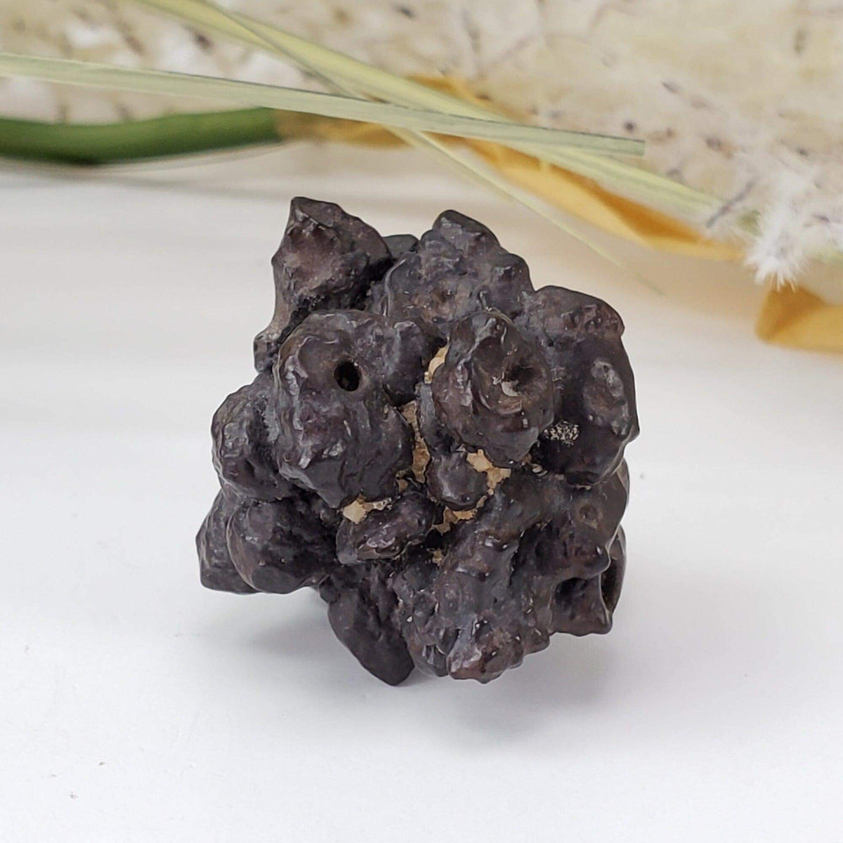  Pseudomorph Goethite After Marcasite | Prophecy Stone | 29 gr | Farafra Oasis, Egypt 4