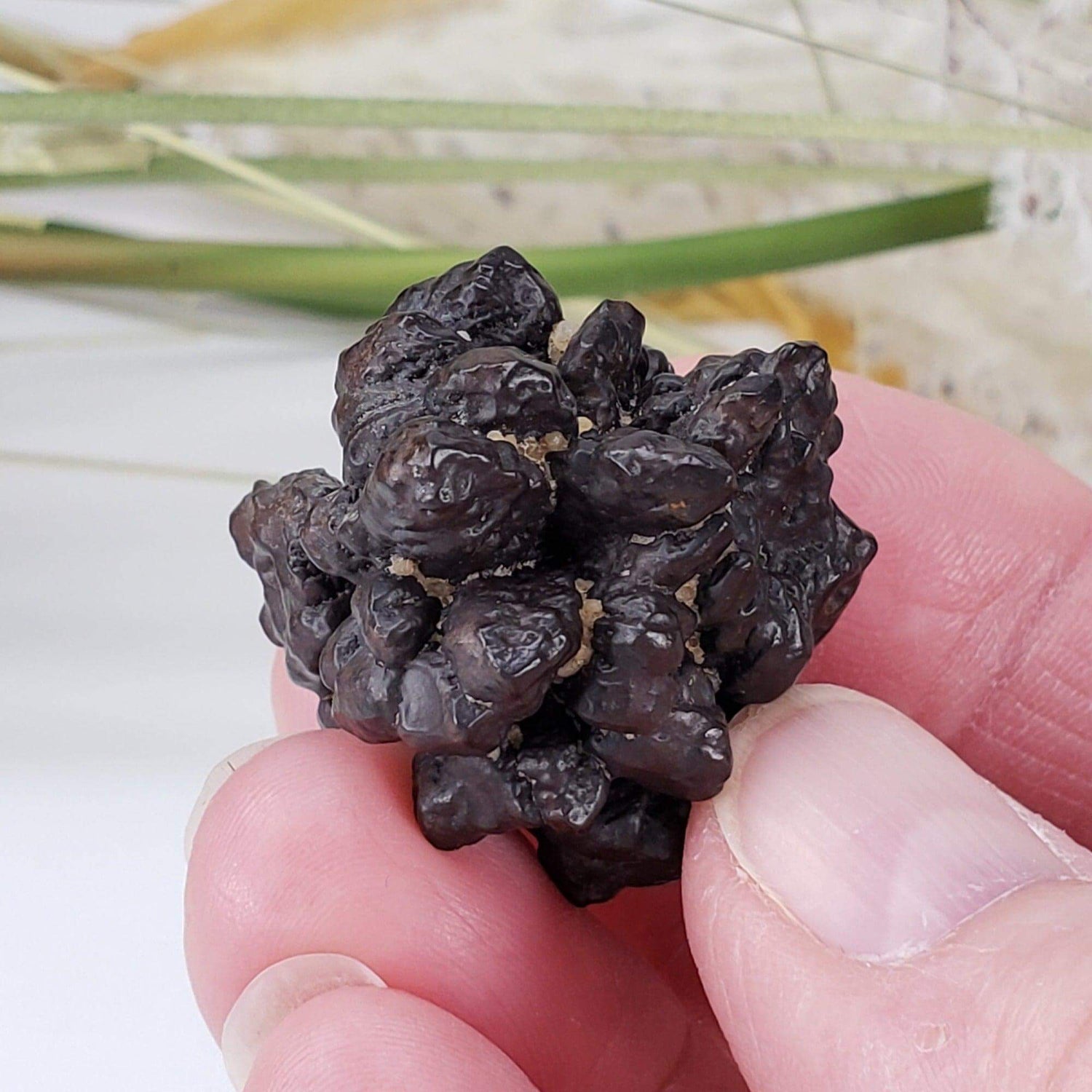  Pseudomorph Goethite After Marcasite | Prophecy Stone | 29 gr | Farafra Oasis, Egypt 6