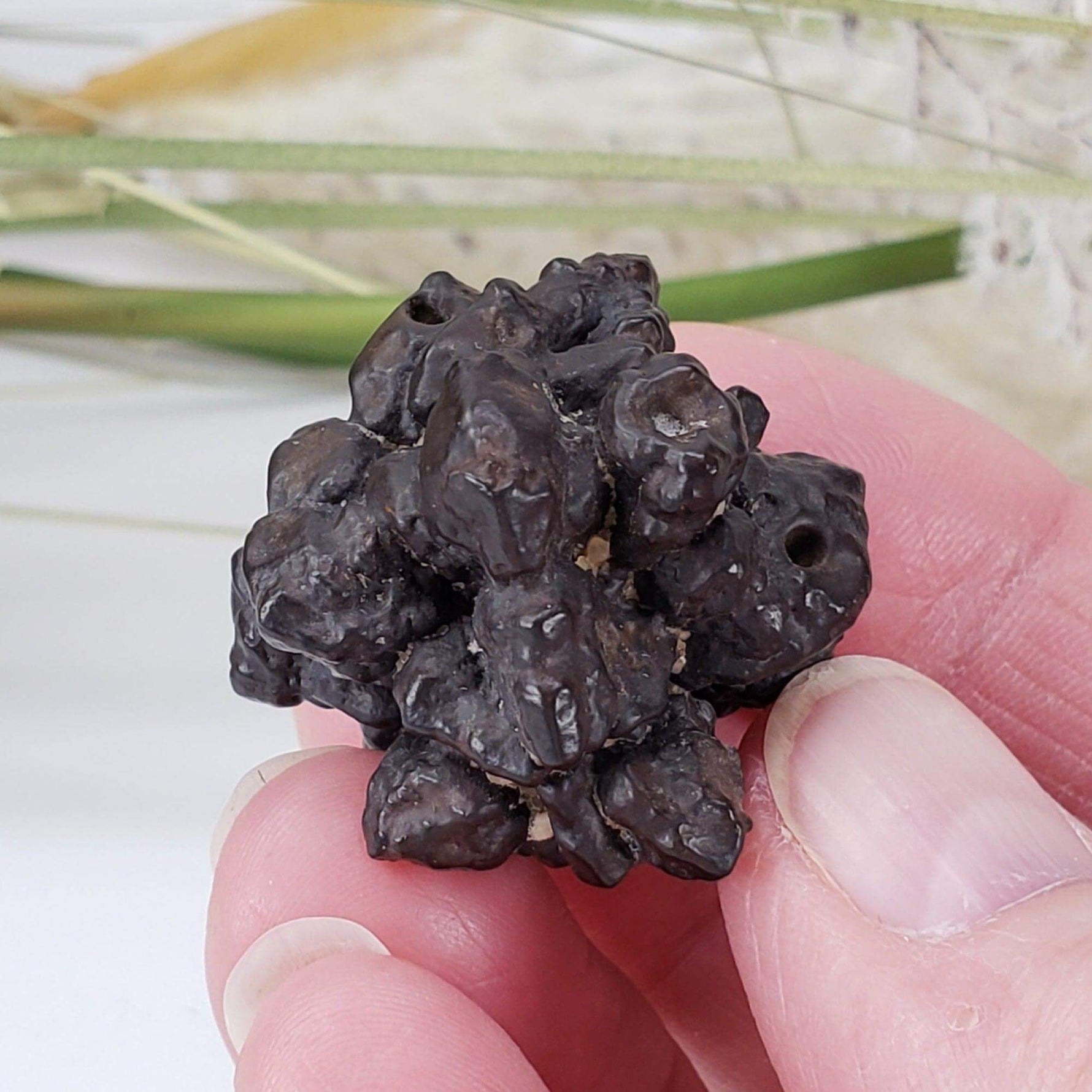 Pseudomorph Goethite After Marcasite | Prophecy Stone | 29 gr | Farafra Oasis, Egypt 7