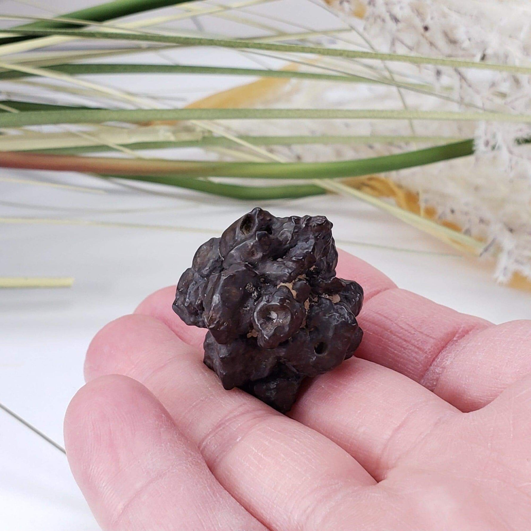  Pseudomorph Goethite After Marcasite | Prophecy Stone | 29 gr | Farafra Oasis, Egypt 8