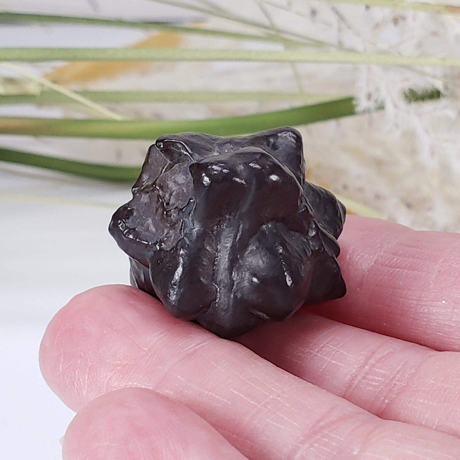  Pseudomorph Goethite After Marcasite | Prophecy Stone | 30.2 gr | Farafra Oasis, Egypt | SO24 1