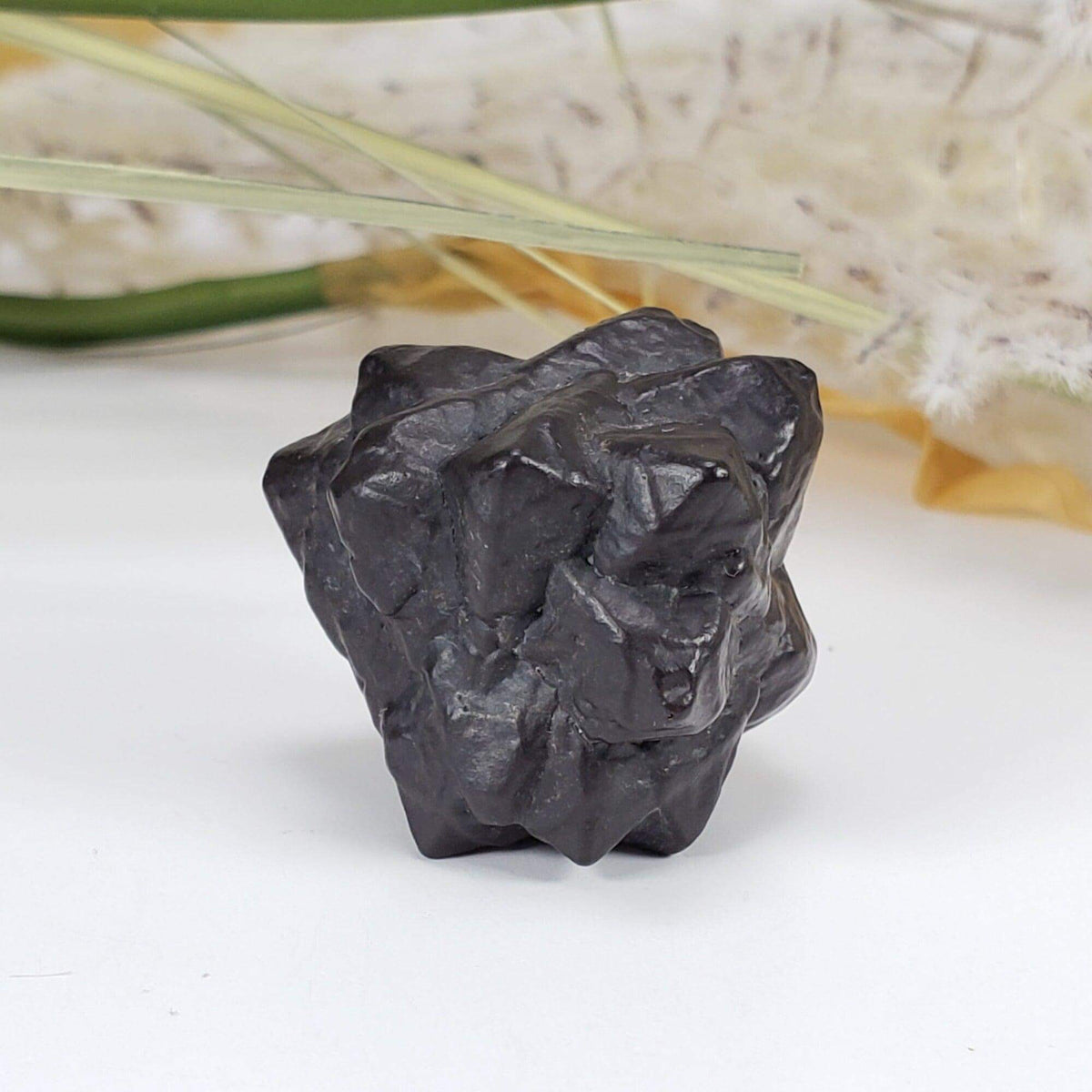  Pseudomorph Goethite After Marcasite | Prophecy Stone | 30.2 gr | Farafra Oasis, Egypt | SO24 6