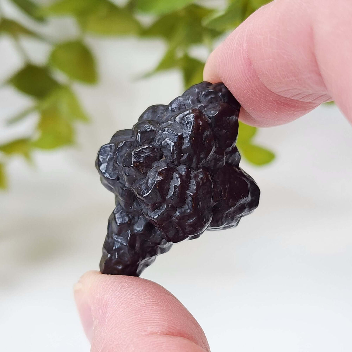  Pseudomorph Goethite After Marcasite | Prophecy Stone | 30.3 gr | Farafra Oasis, Egypt 