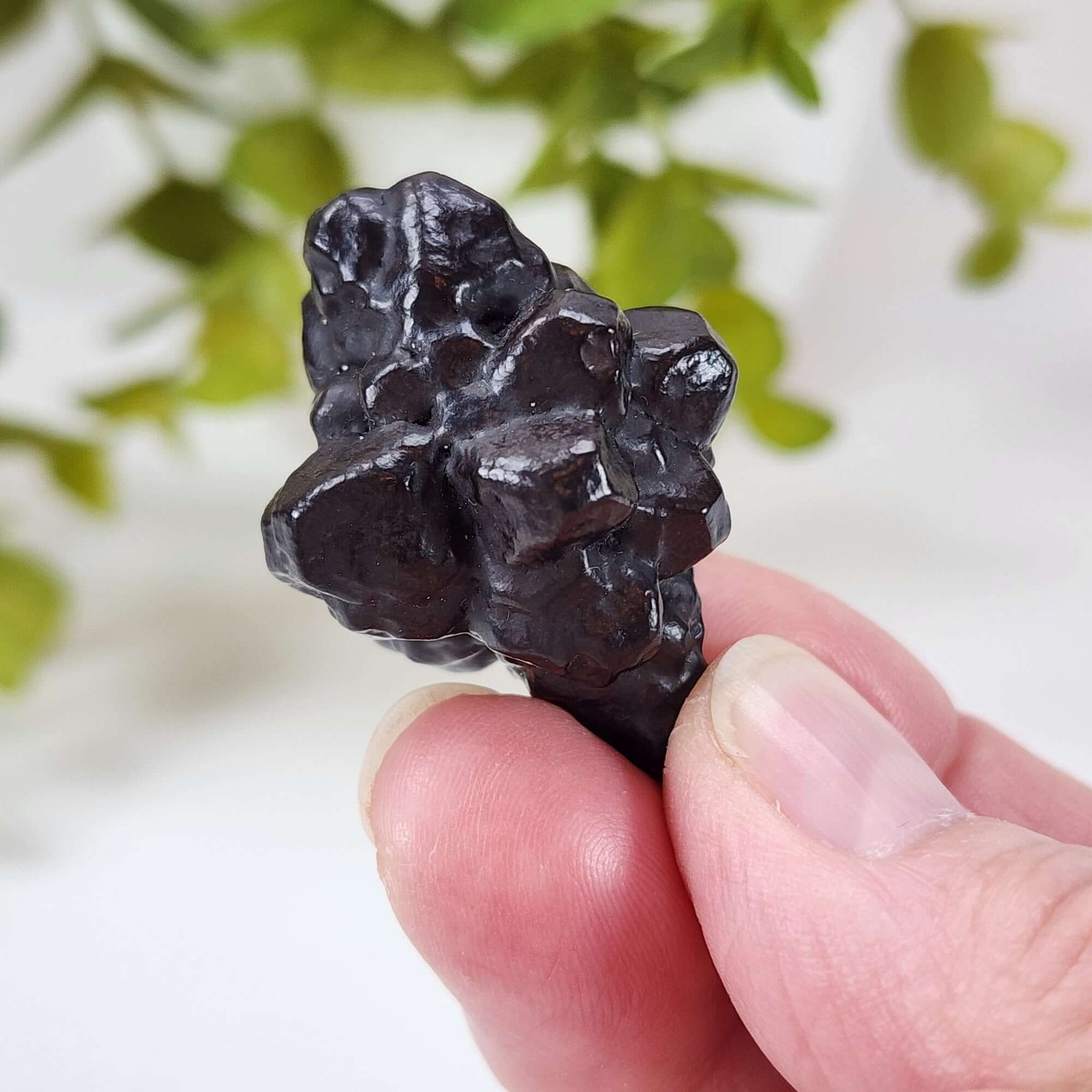  Pseudomorph Goethite After Marcasite | Prophecy Stone | 30.3 gr | Farafra Oasis, Egypt 1