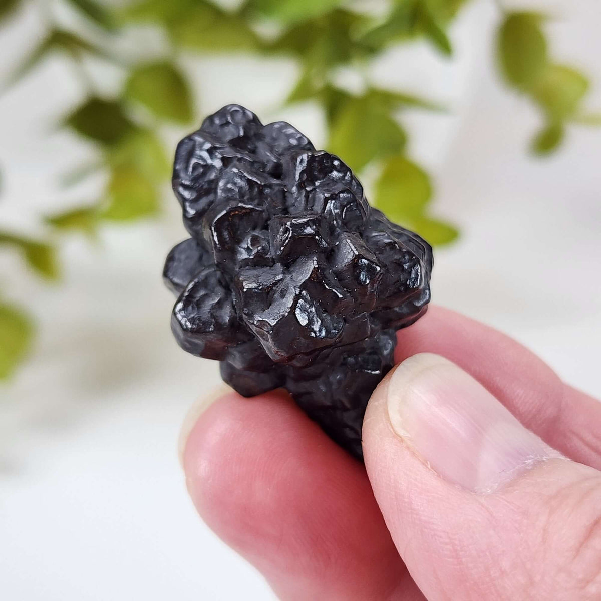  Pseudomorph Goethite After Marcasite | Prophecy Stone | 30.3 gr | Farafra Oasis, Egypt 2