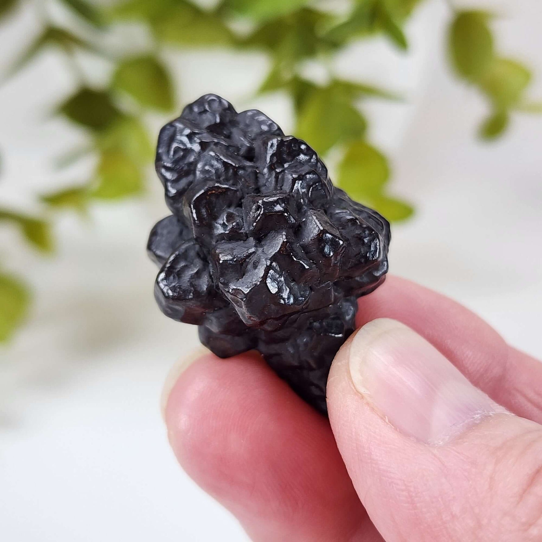  Pseudomorph Goethite After Marcasite | Prophecy Stone | 30.3 gr | Farafra Oasis, Egypt 2