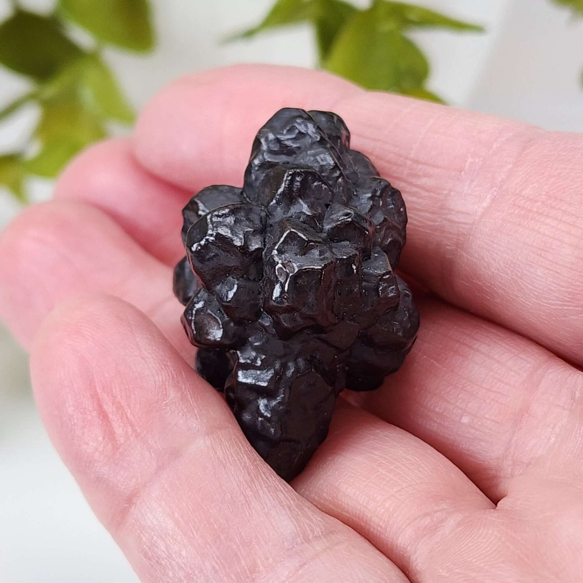  Pseudomorph Goethite After Marcasite | Prophecy Stone | 30.3 gr | Farafra Oasis, Egypt 3