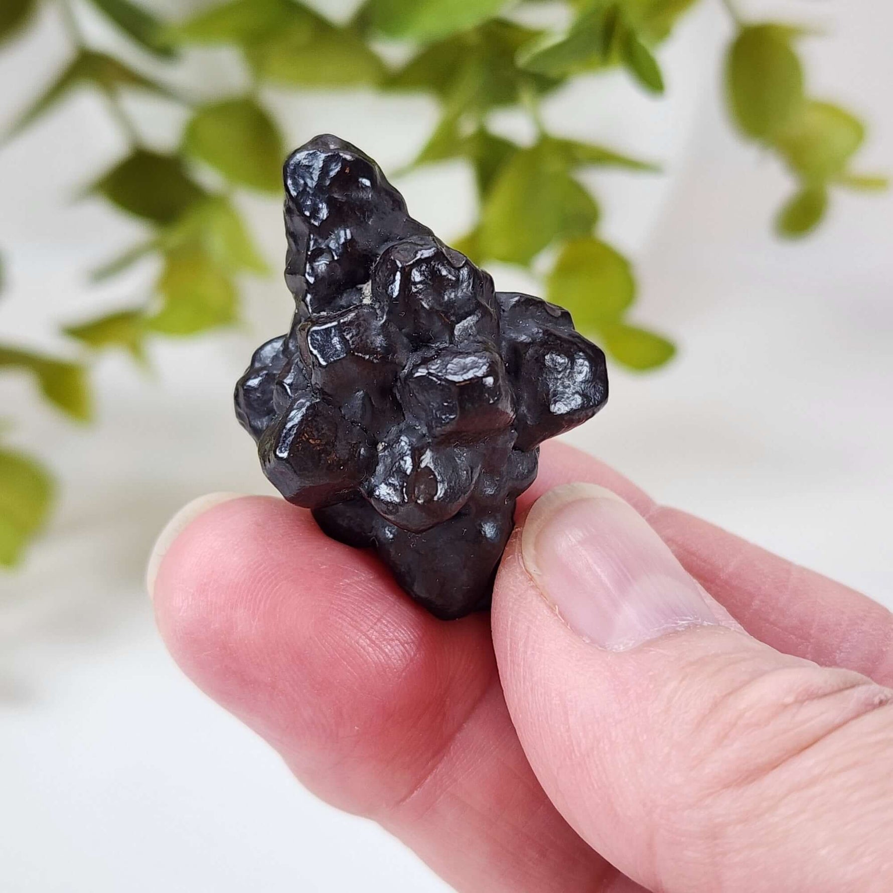  Pseudomorph Goethite After Marcasite | Prophecy Stone | 30.3 gr | Farafra Oasis, Egypt 6