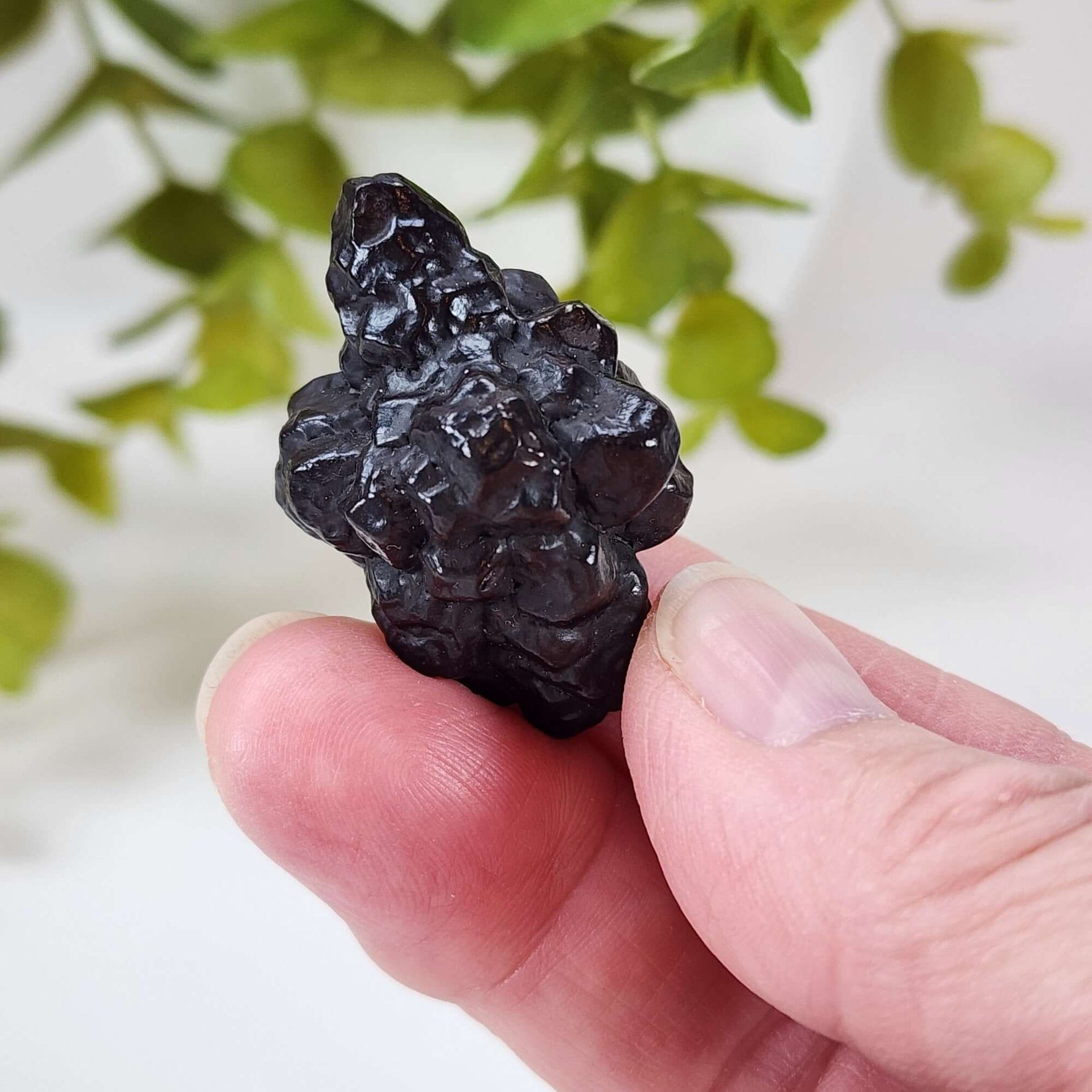  Pseudomorph Goethite After Marcasite | Prophecy Stone | 30.3 gr | Farafra Oasis, Egypt 7