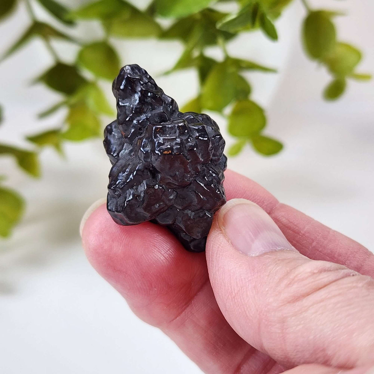  Pseudomorph Goethite After Marcasite | Prophecy Stone | 30.3 gr | Farafra Oasis, Egypt 8