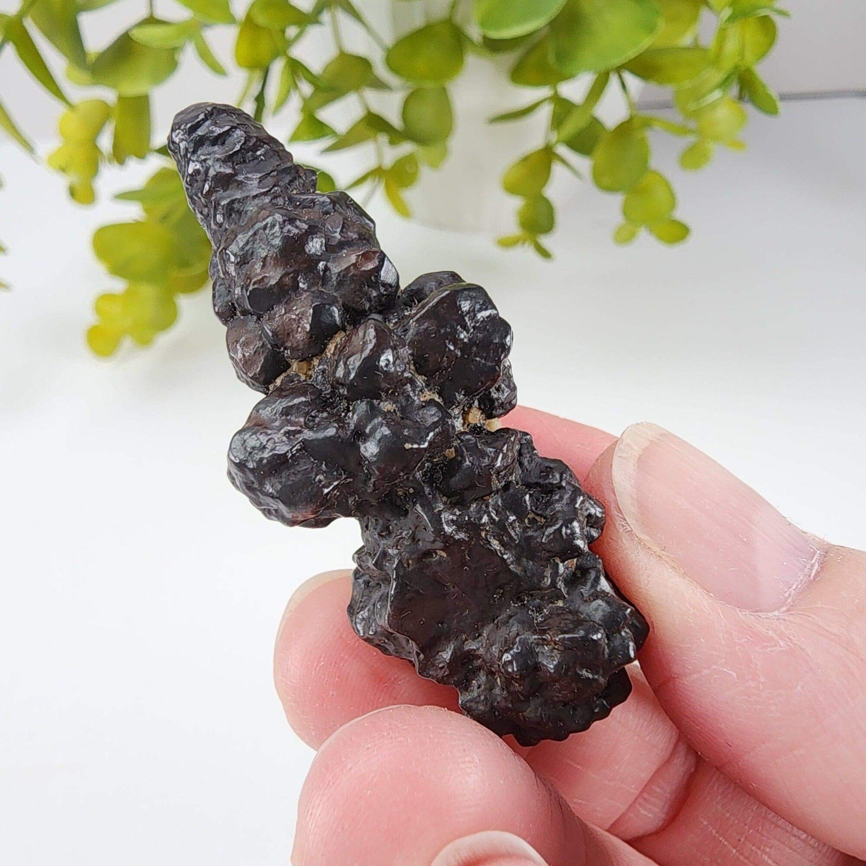 Pseudomorph Goethite After Marcasite | Prophecy Stone | 30 gr | Farafra Oasis, Egypt | SO24 