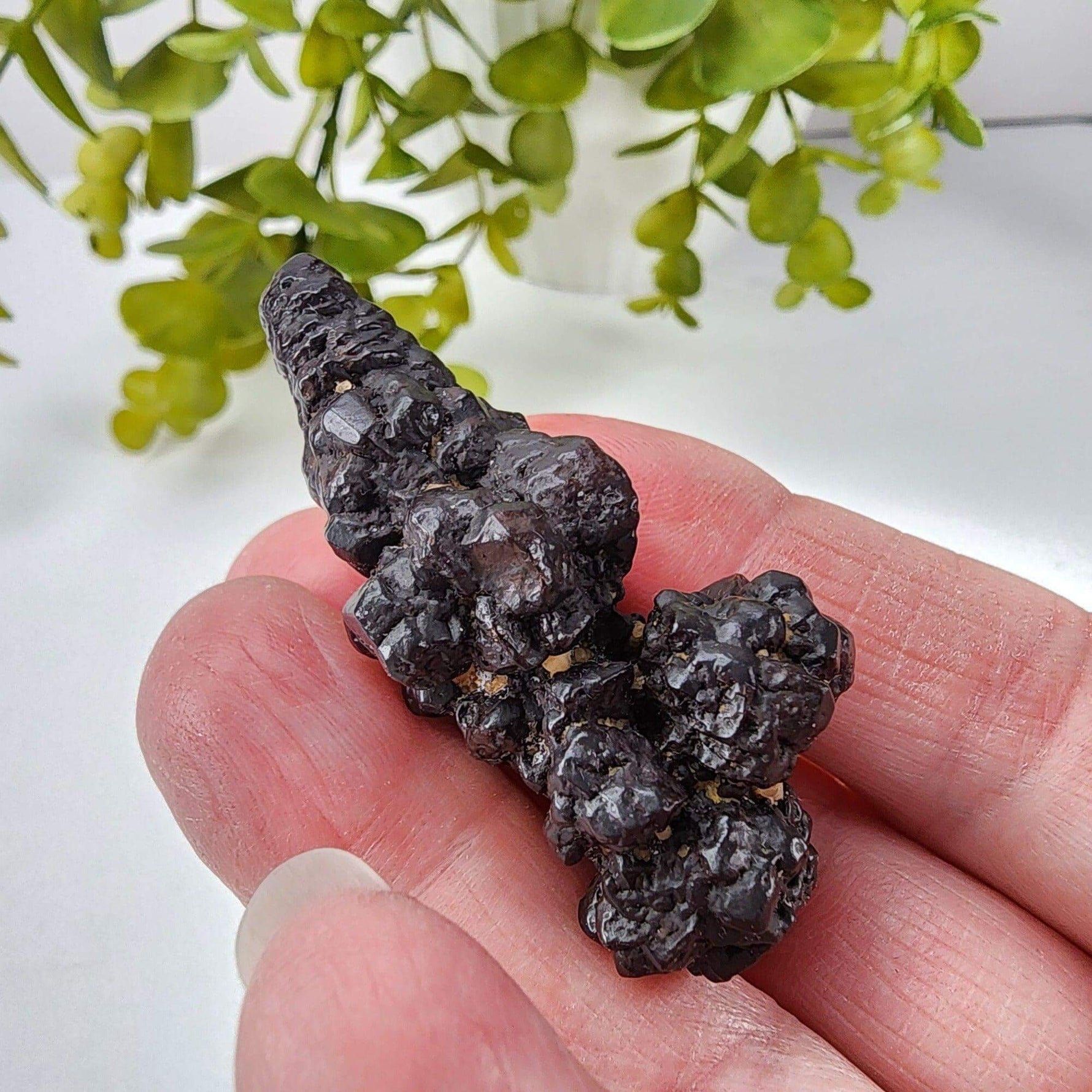  Pseudomorph Goethite After Marcasite | Prophecy Stone | 30 gr | Farafra Oasis, Egypt | SO24 1