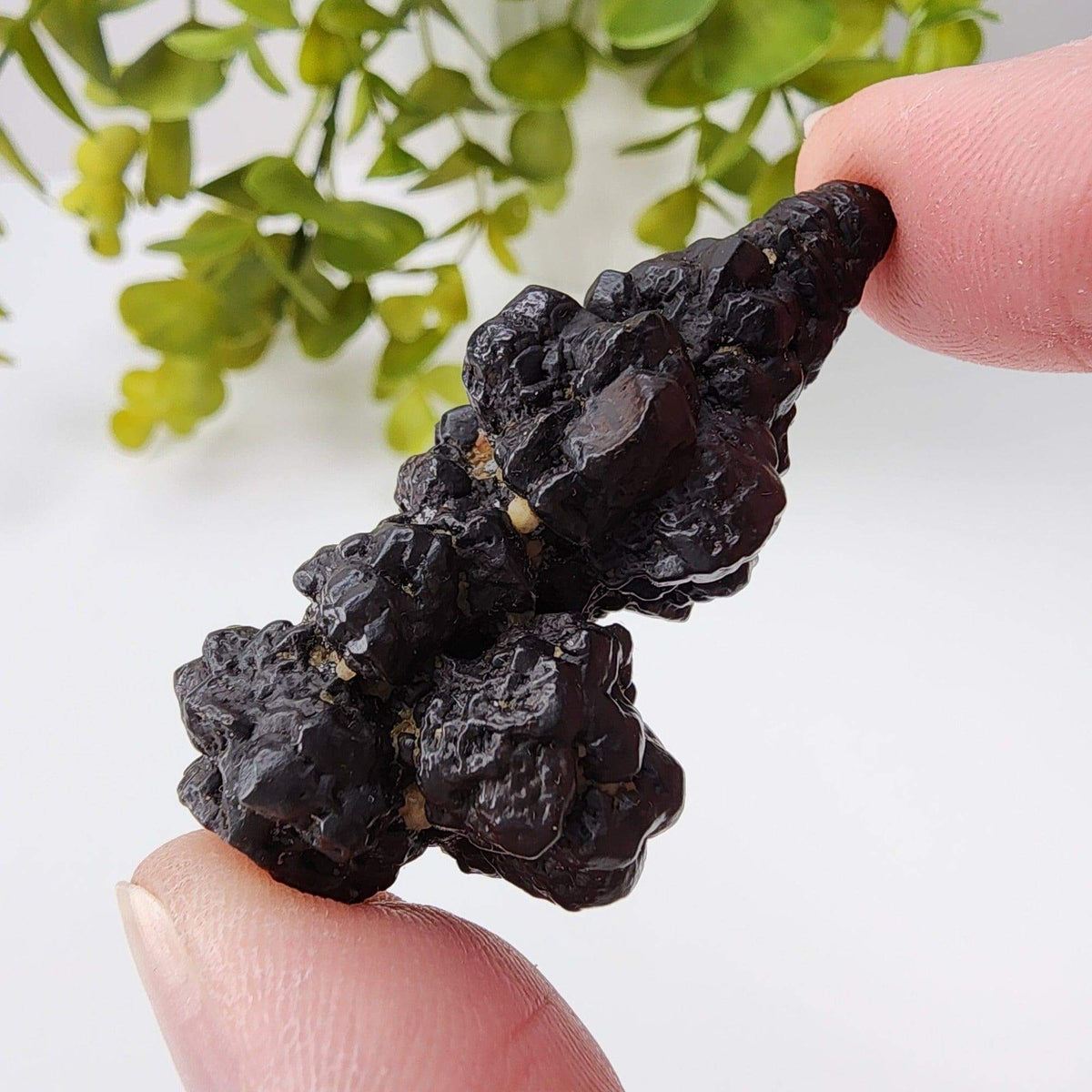  Pseudomorph Goethite After Marcasite | Prophecy Stone | 30 gr | Farafra Oasis, Egypt | SO24 3