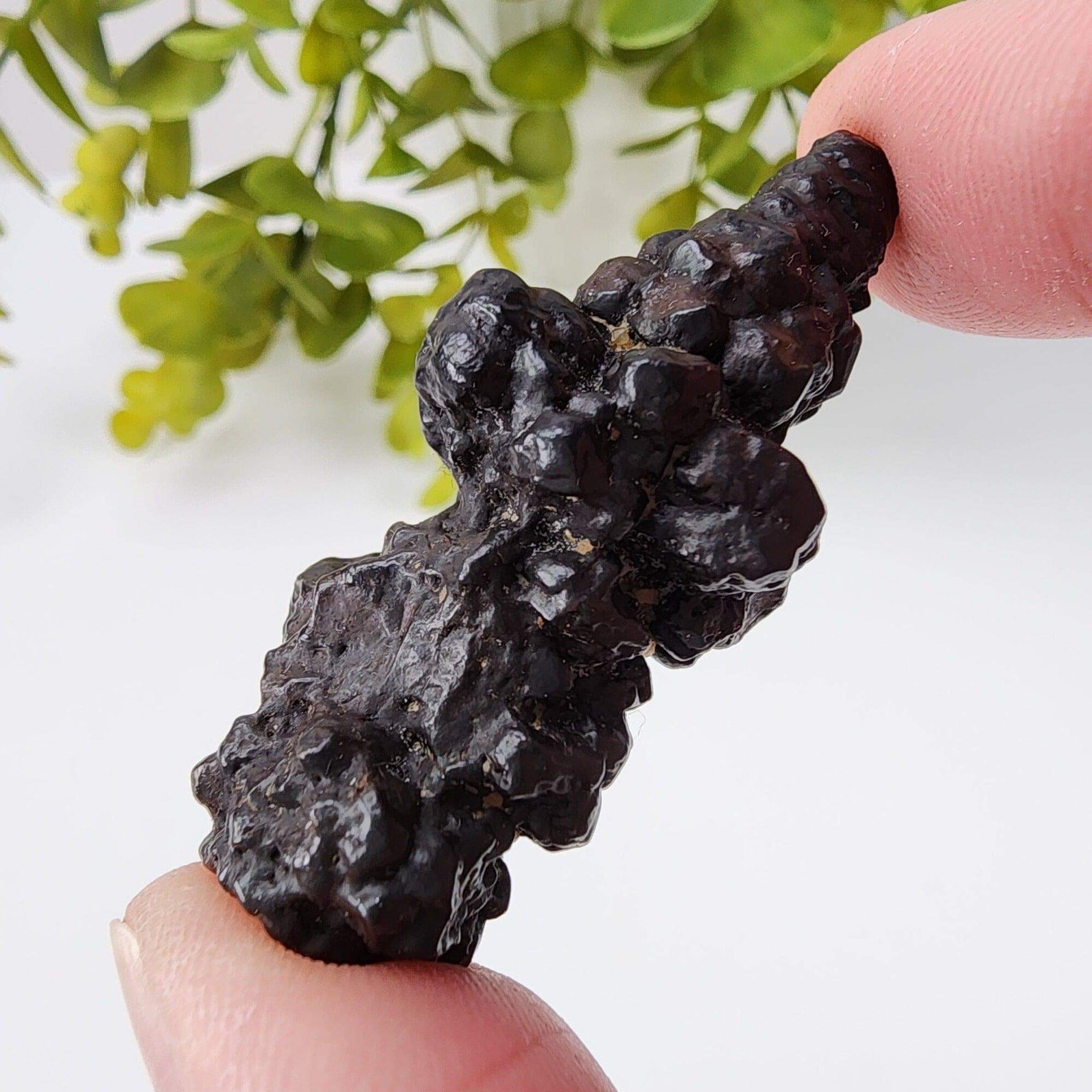  Pseudomorph Goethite After Marcasite | Prophecy Stone | 30 gr | Farafra Oasis, Egypt | SO24 4