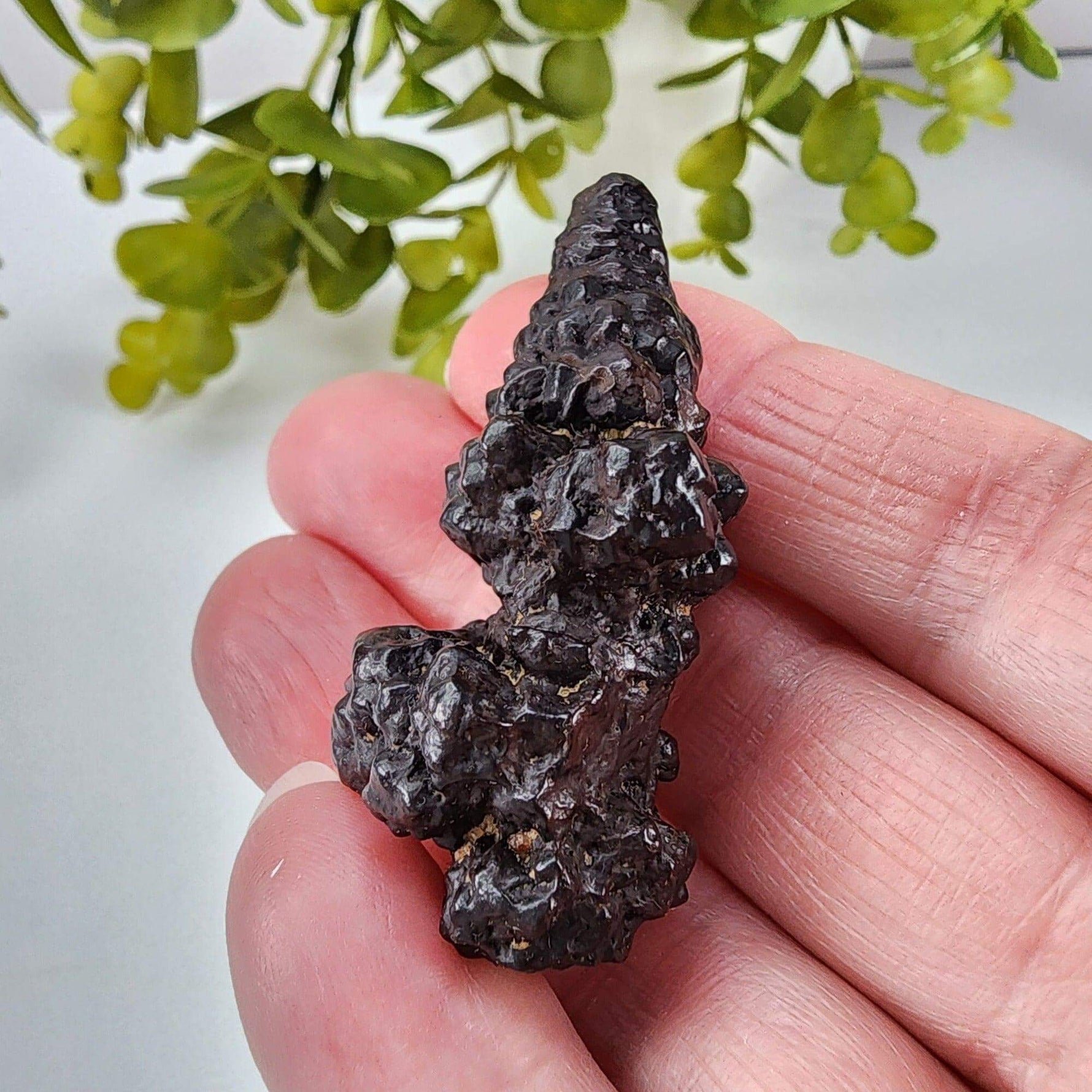  Pseudomorph Goethite After Marcasite | Prophecy Stone | 30 gr | Farafra Oasis, Egypt | SO24 5