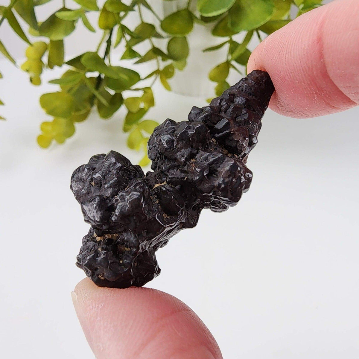  Pseudomorph Goethite After Marcasite | Prophecy Stone | 30 gr | Farafra Oasis, Egypt | SO24 6