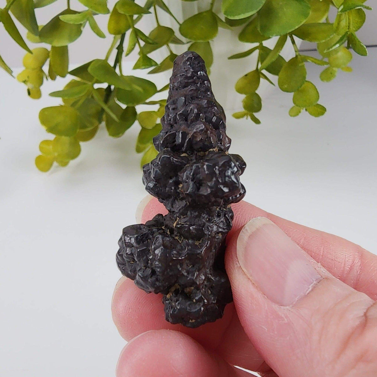  Pseudomorph Goethite After Marcasite | Prophecy Stone | 30 gr | Farafra Oasis, Egypt | SO24 7