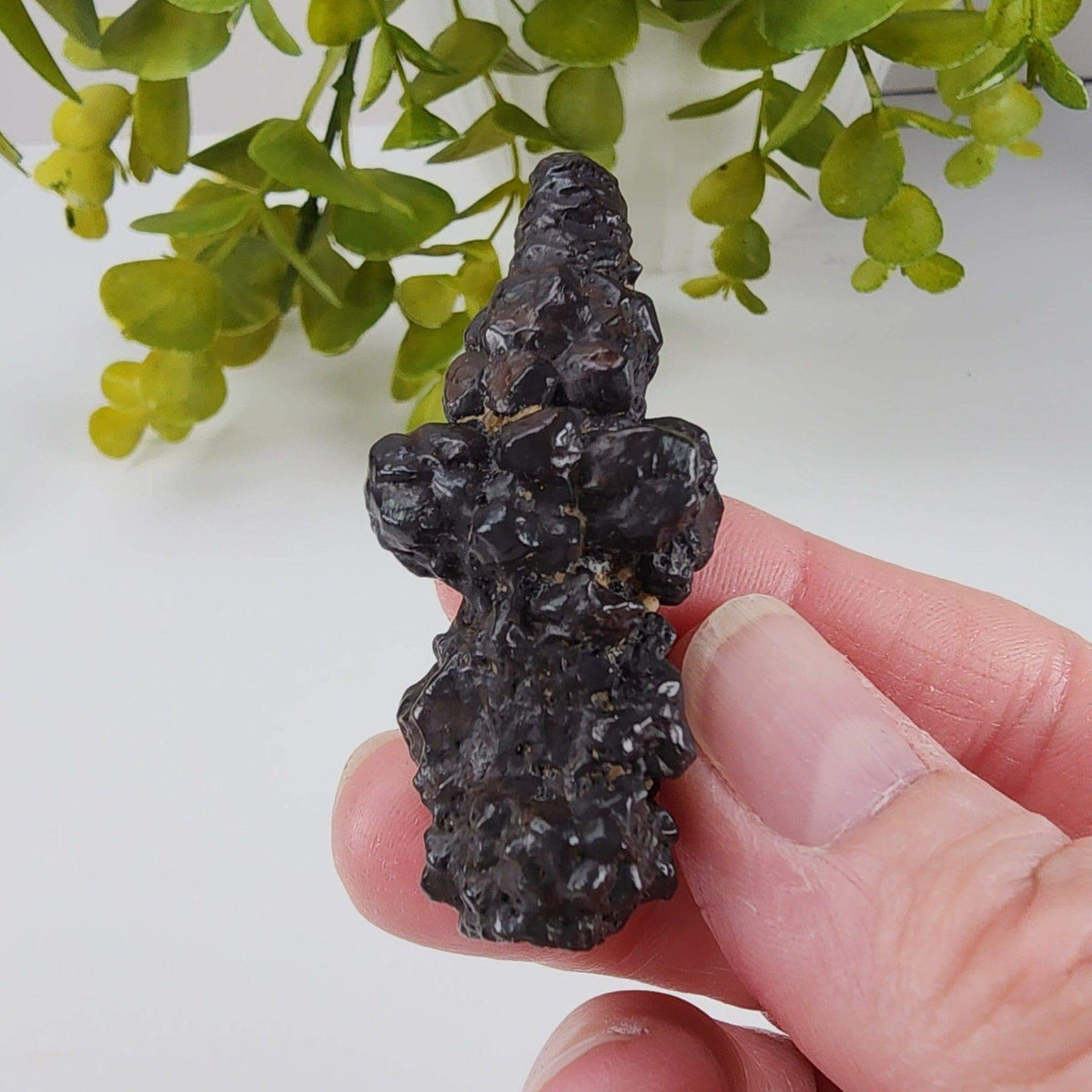  Pseudomorph Goethite After Marcasite | Prophecy Stone | 30 gr | Farafra Oasis, Egypt | SO24 8