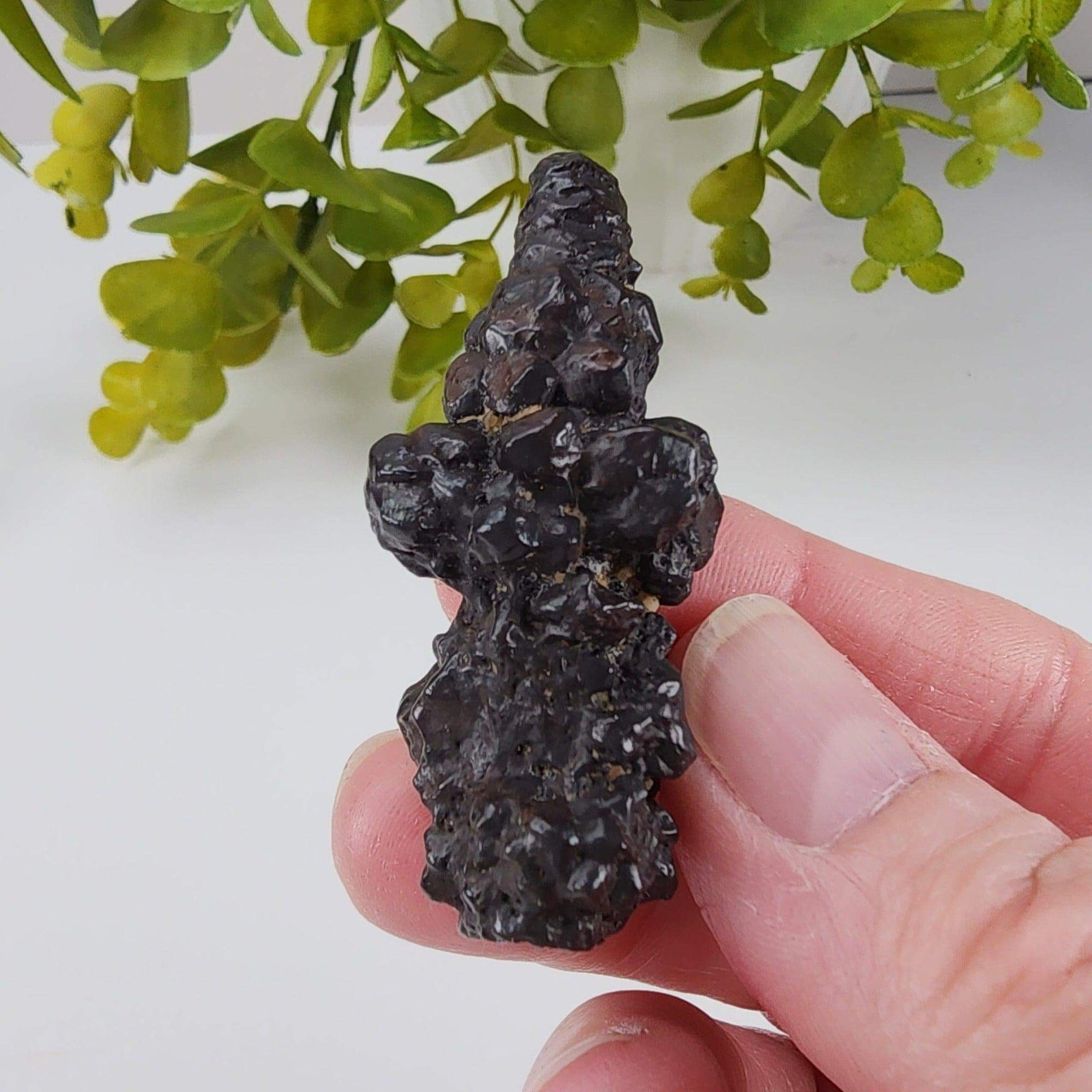  Pseudomorph Goethite After Marcasite | Prophecy Stone | 30 gr | Farafra Oasis, Egypt | SO24 8