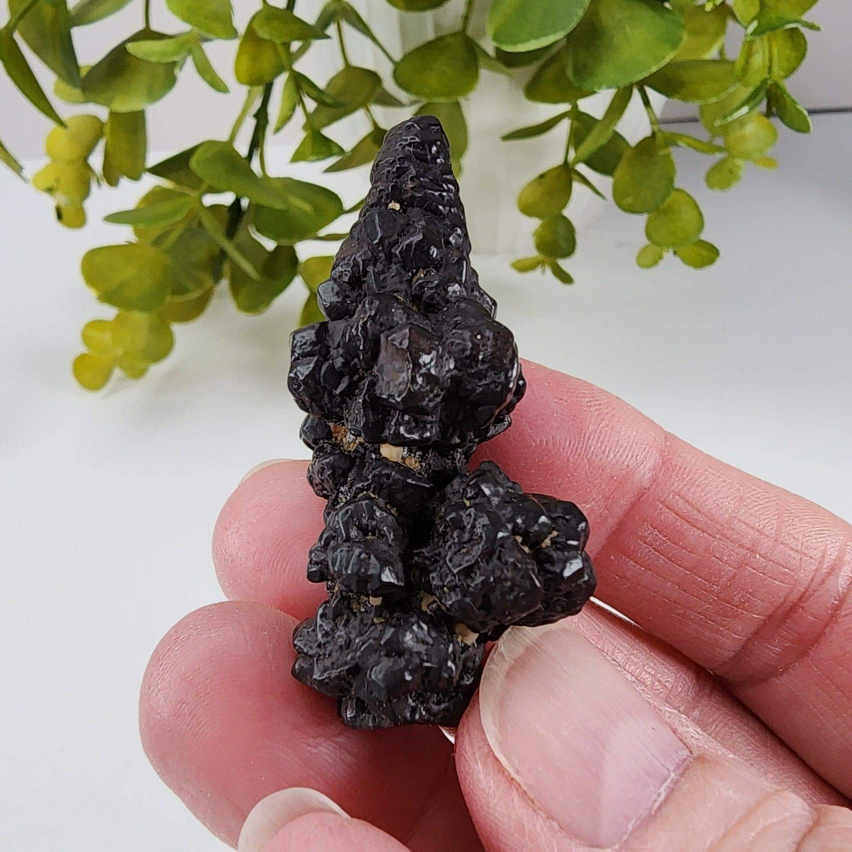  Pseudomorph Goethite After Marcasite | Prophecy Stone | 30 gr | Farafra Oasis, Egypt | SO24 9