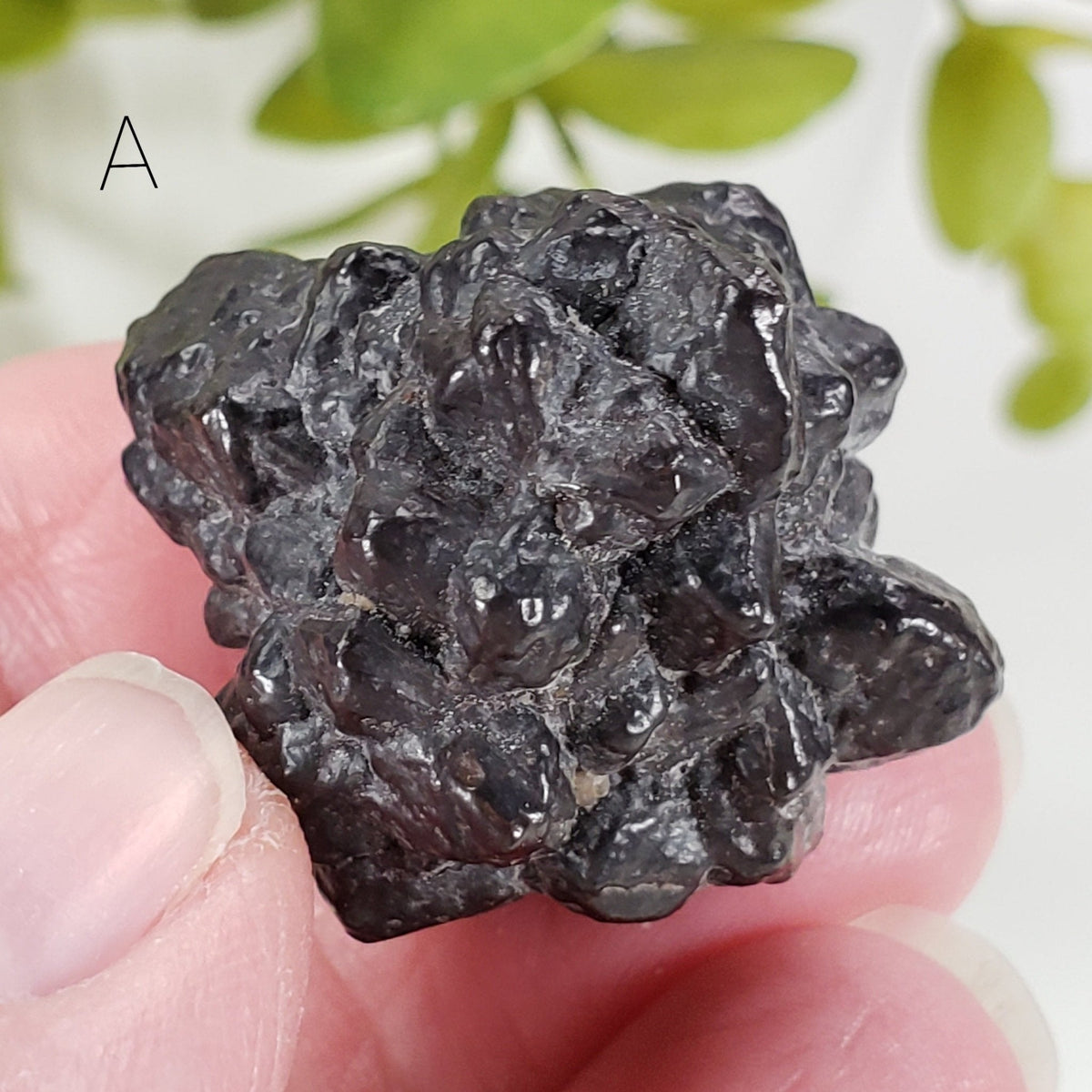  Pseudomorph Goethite After Marcasite | Prophecy Stone | 31 gr | Farafra Oasis, Egypt | SO24 1