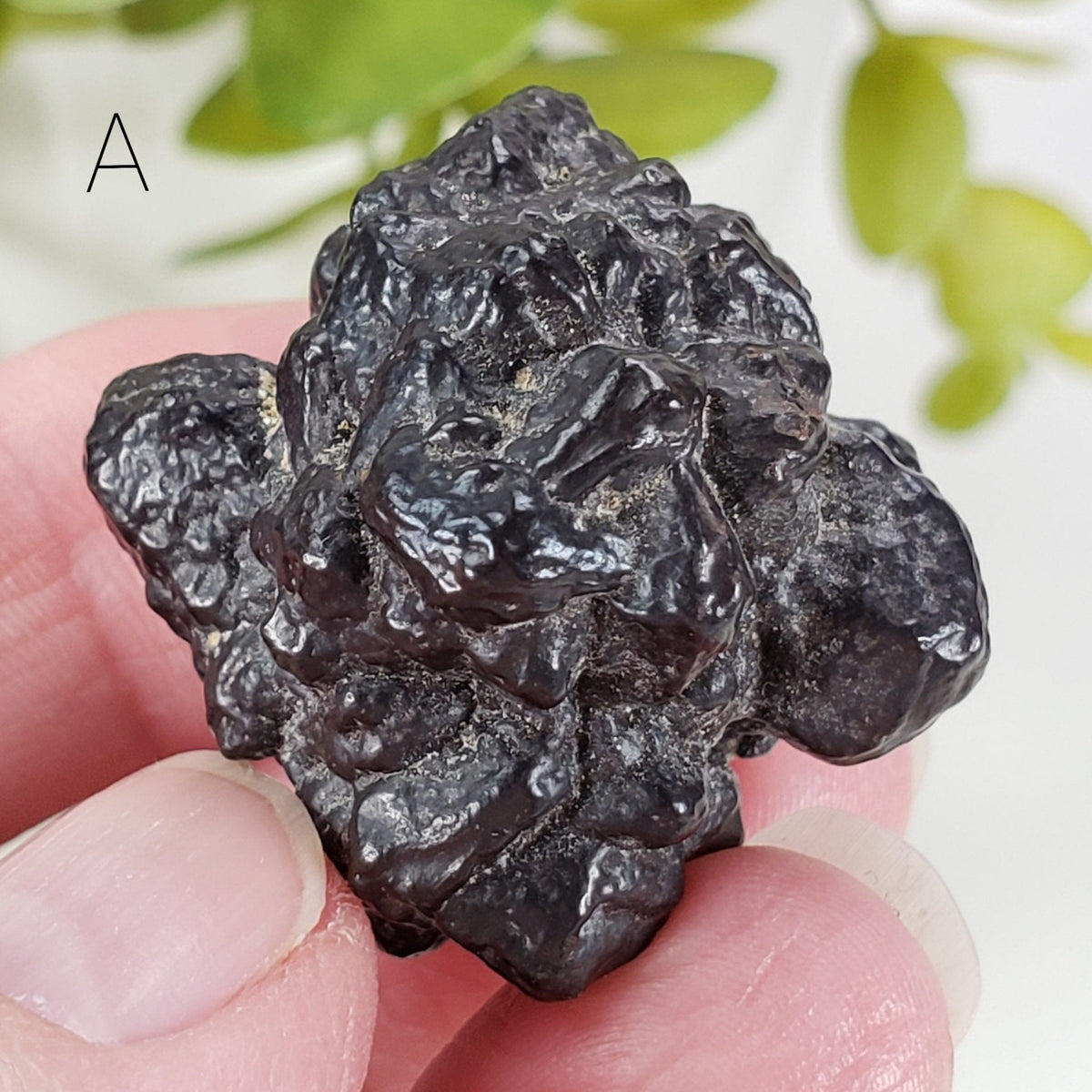  Pseudomorph Goethite After Marcasite | Prophecy Stone | 31 gr | Farafra Oasis, Egypt | SO24 2