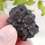  Pseudomorph Goethite After Marcasite | Prophecy Stone | 31 gr | Farafra Oasis, Egypt | SO24 3