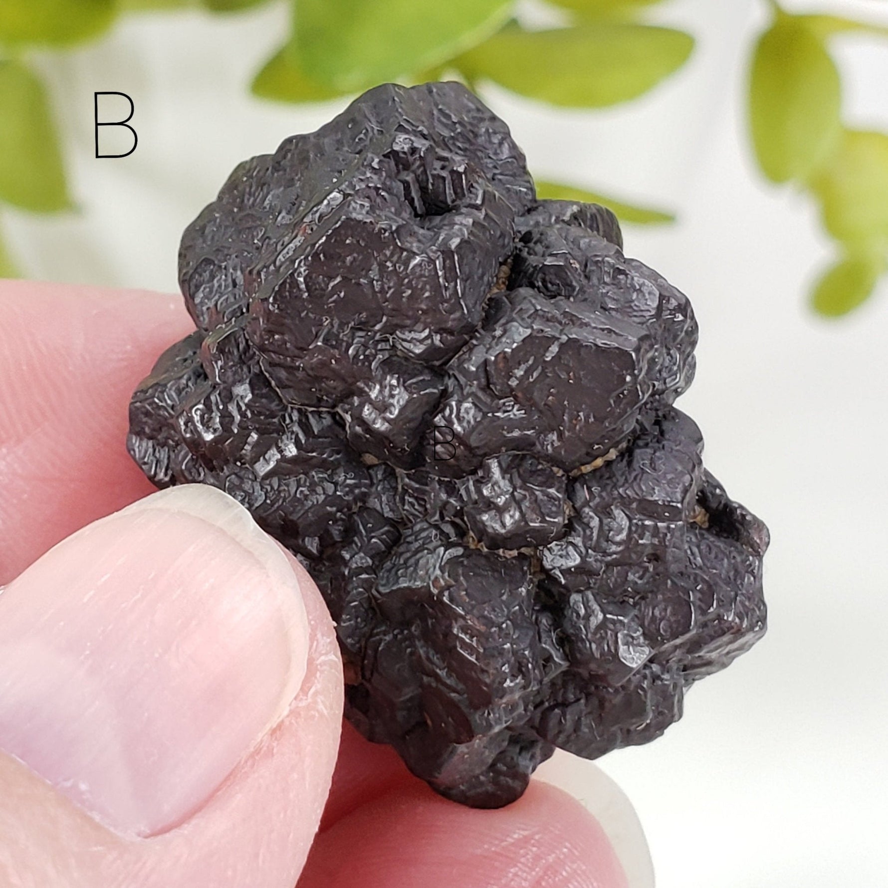  Pseudomorph Goethite After Marcasite | Prophecy Stone | 31 gr | Farafra Oasis, Egypt | SO24 3