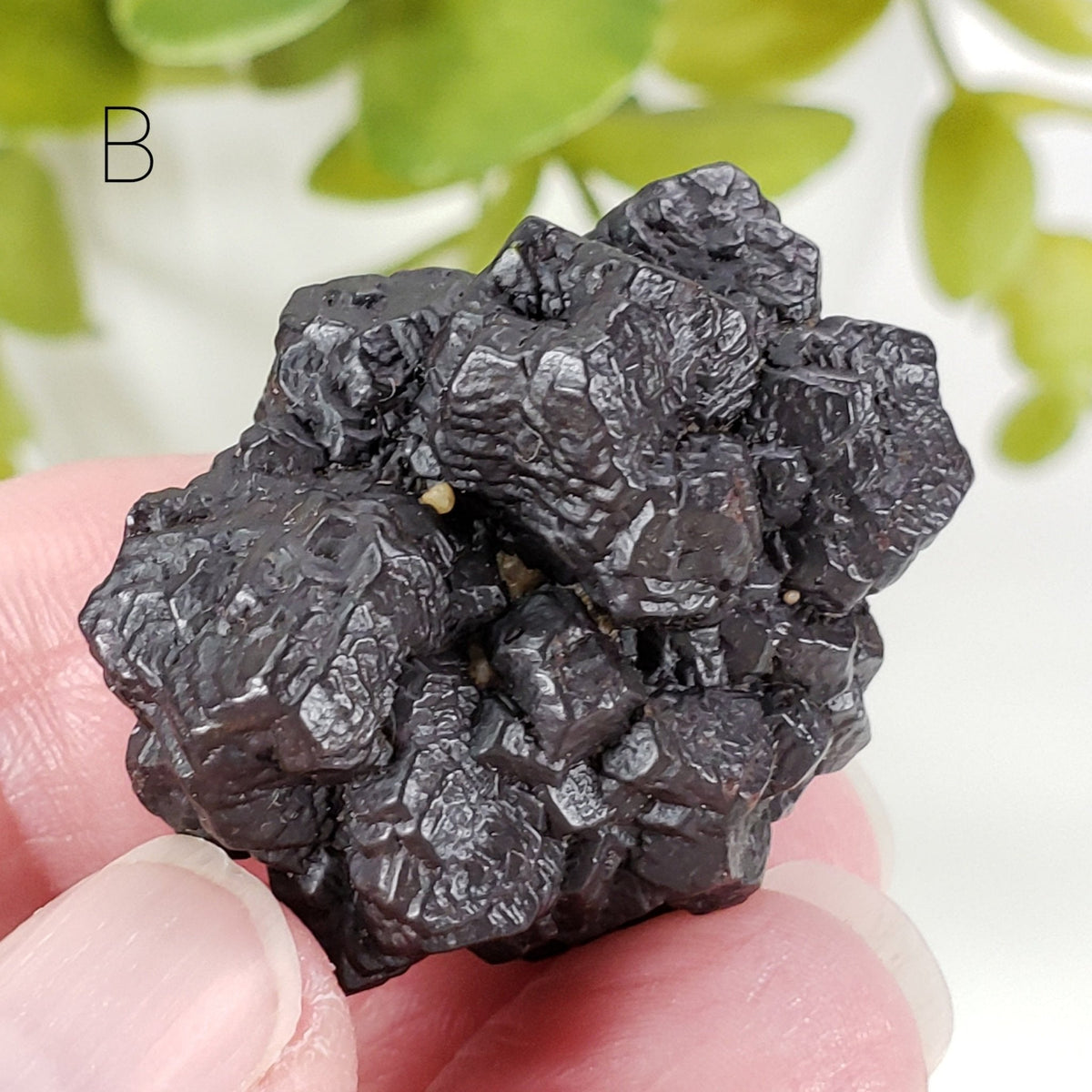  Pseudomorph Goethite After Marcasite | Prophecy Stone | 31 gr | Farafra Oasis, Egypt | SO24 4