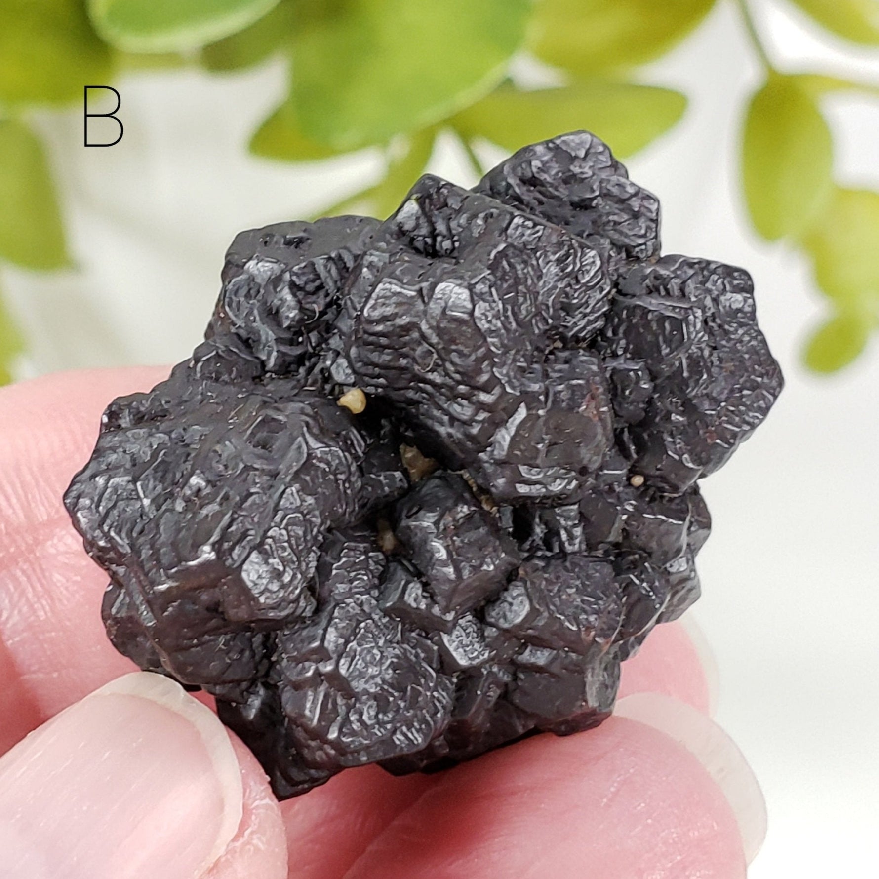  Pseudomorph Goethite After Marcasite | Prophecy Stone | 31 gr | Farafra Oasis, Egypt | SO24 4