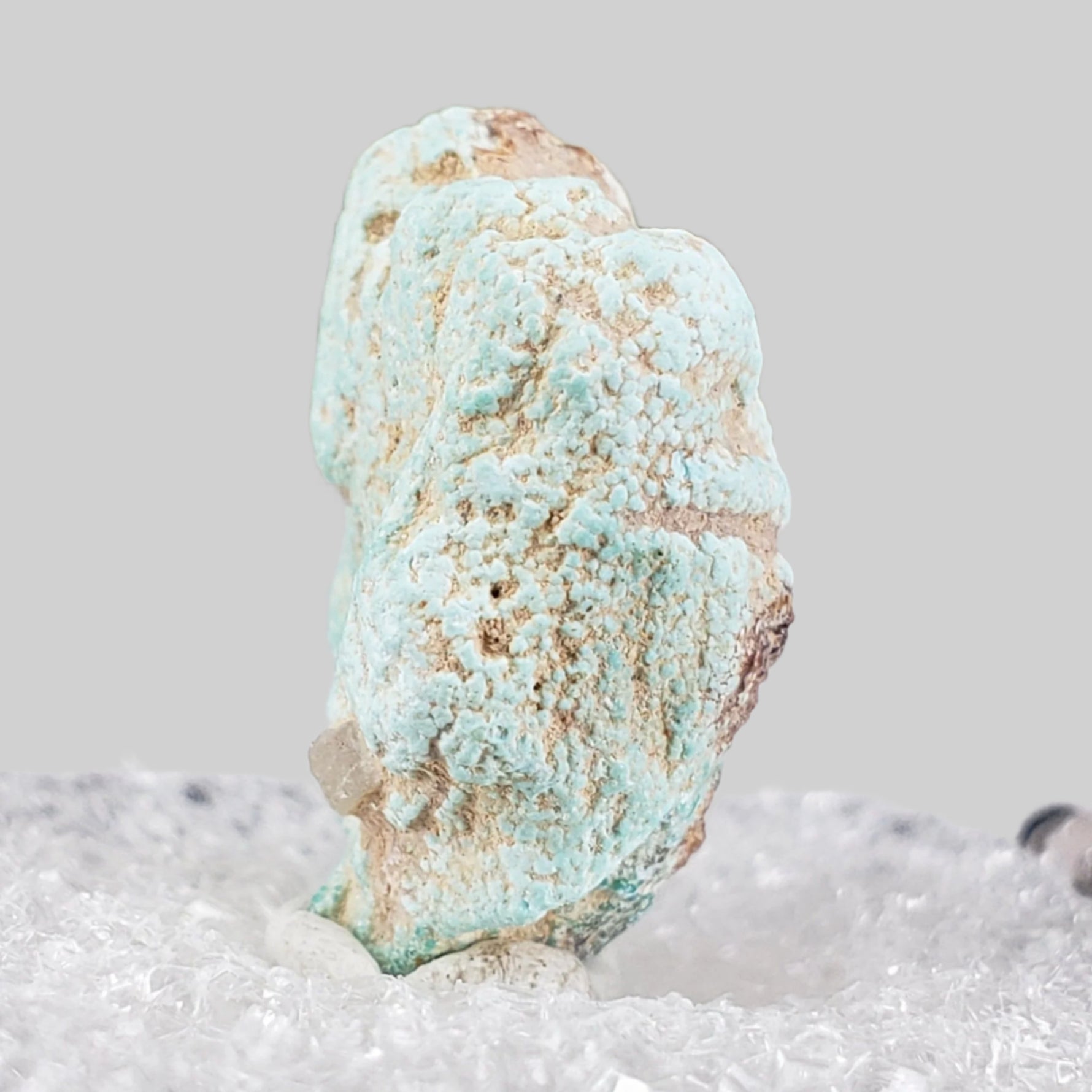  Pseudomorph Turquoise After Apatite | Perky Box Thumbnail Specimen | Sonora, Mexico 5