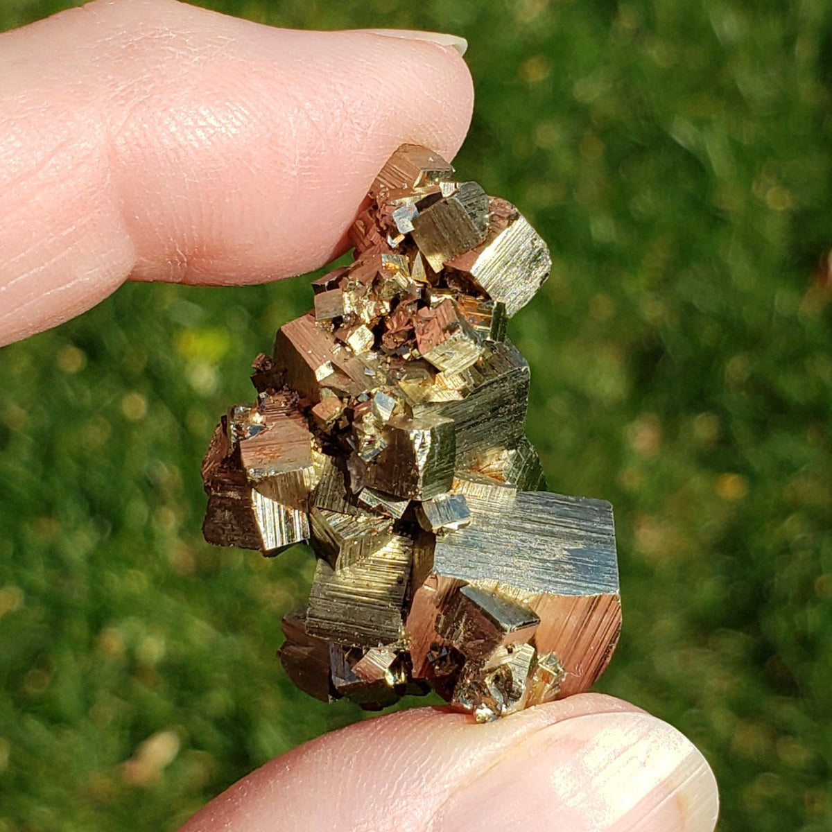 Pyrite Crystal Cluster | Sharp Cubes | 26.18 Grams | Madan, Bulgaria | SO24 4