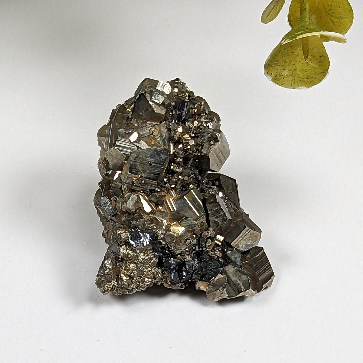  Pyrite Crystal Cluster | Sharp Cubes | 53.96 Grams | Nanisivik, NWT Canada | SO24 