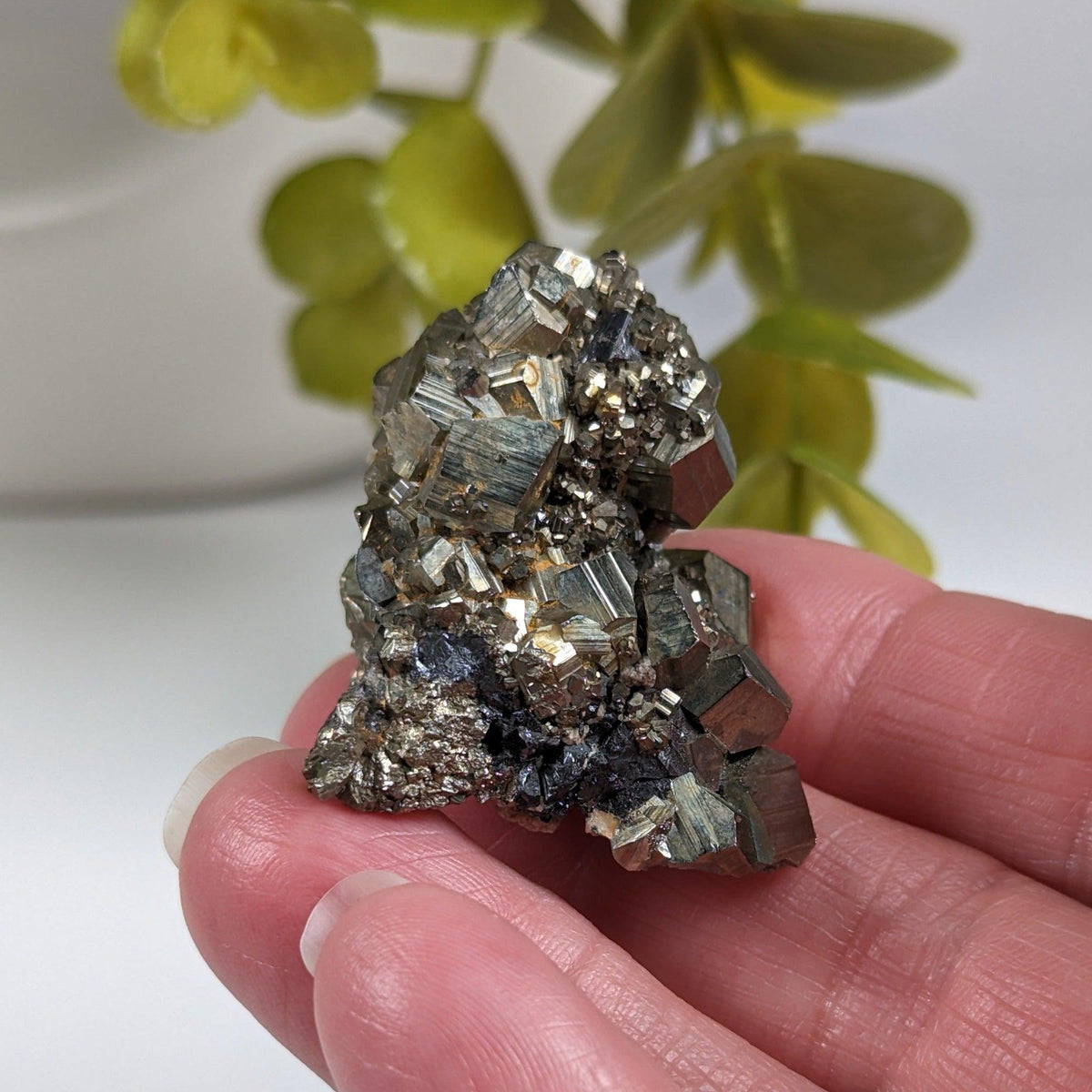  Pyrite Crystal Cluster | Sharp Cubes | 53.96 Grams | Nanisivik, NWT Canada | SO24 6