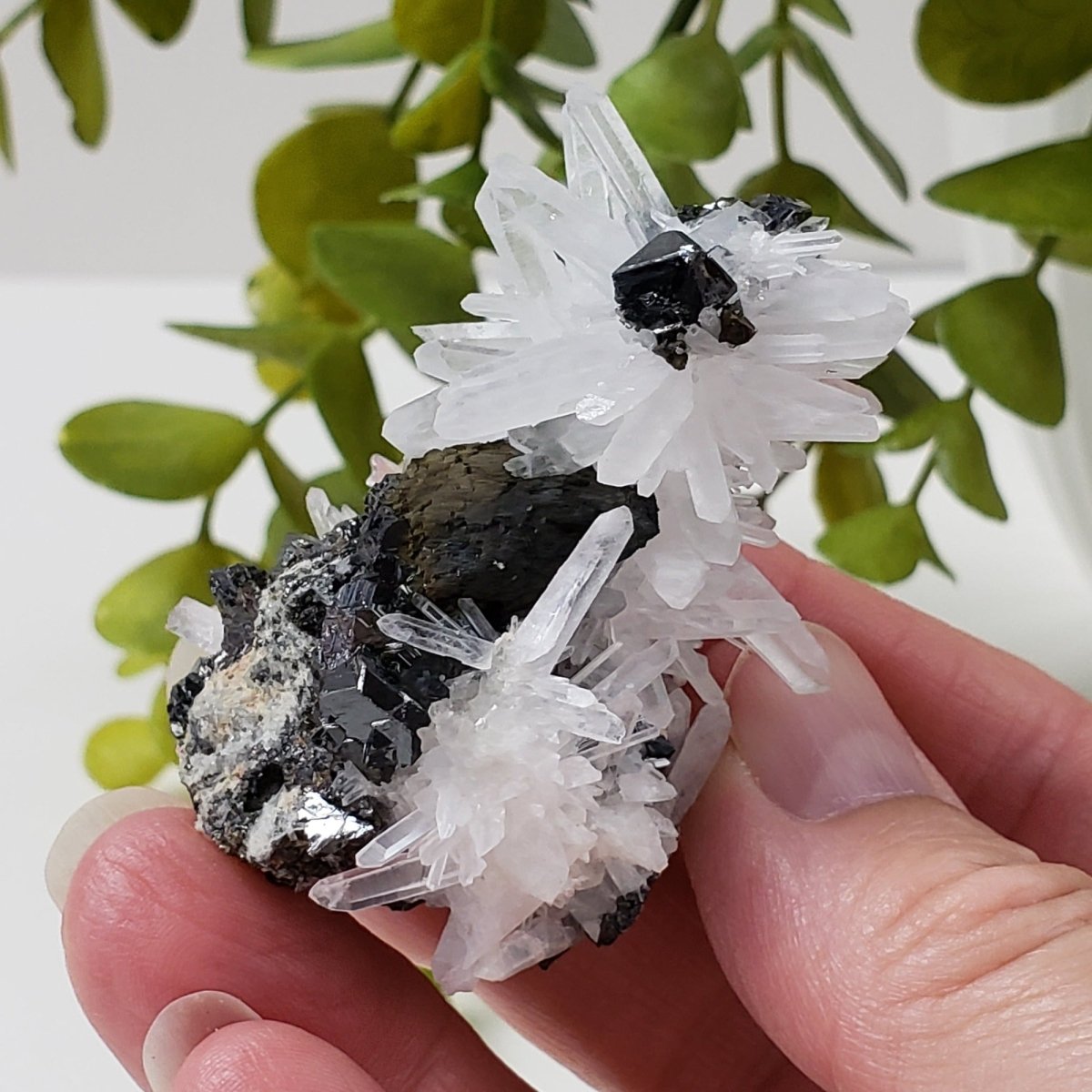  Quartz, Chalcopyrite, Sphalerite Crystal Cluster | 60.2 grams | Huaron, Peru | SO24 1