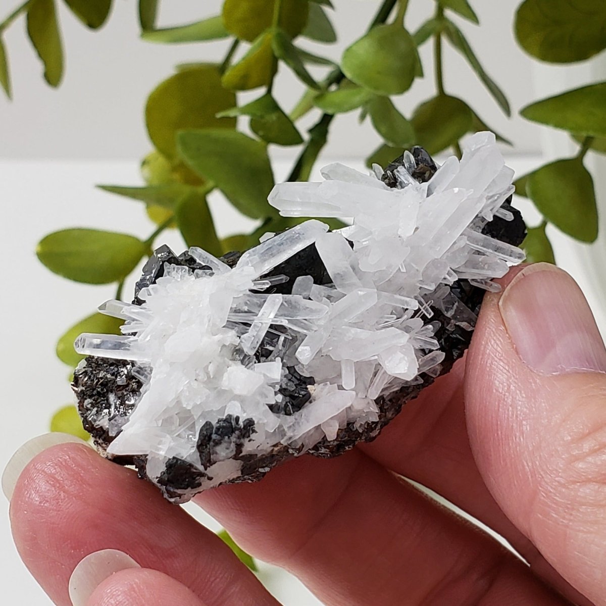  Quartz, Chalcopyrite, Sphalerite Crystal Cluster | 60.2 grams | Huaron, Peru | SO24 2