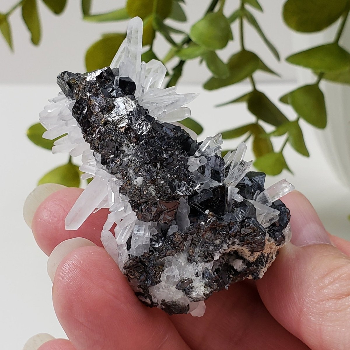  Quartz, Chalcopyrite, Sphalerite Crystal Cluster | 60.2 grams | Huaron, Peru | SO24 5