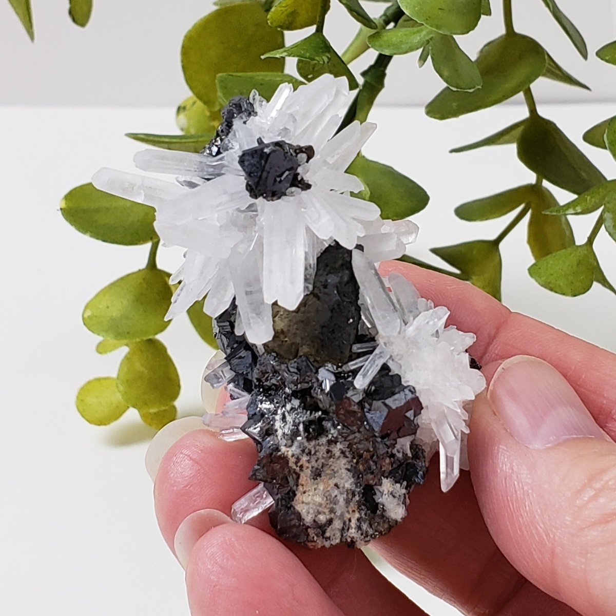  Quartz, Chalcopyrite, Sphalerite Crystal Cluster | 60.2 grams | Huaron, Peru | SO24 9