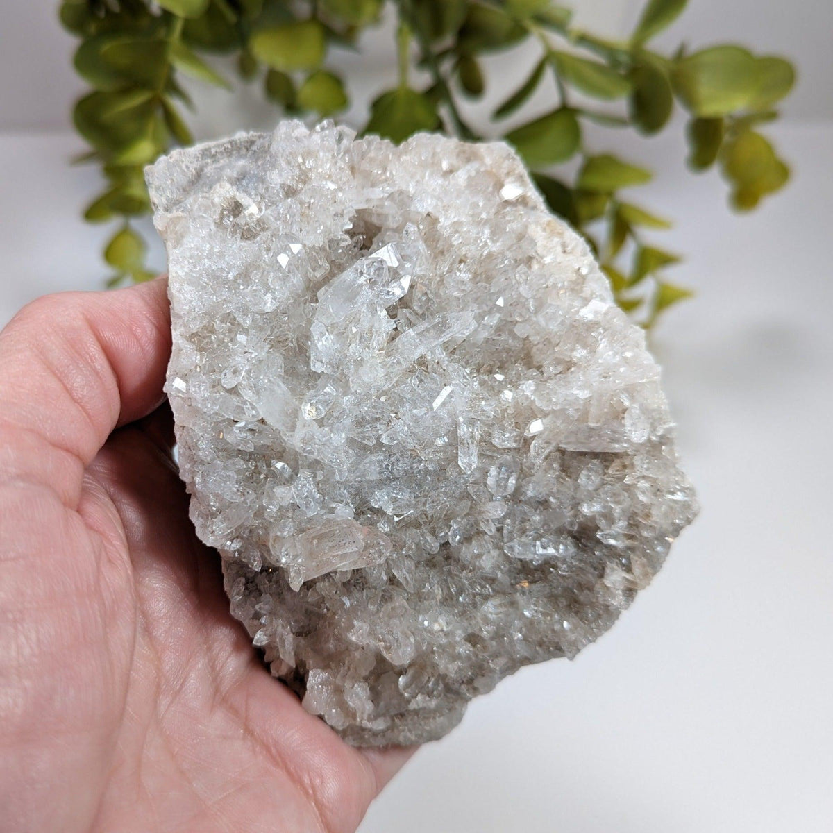  Quartz Points Crystal Cluster | 499 gr | Schodack Landing, New York USA 5