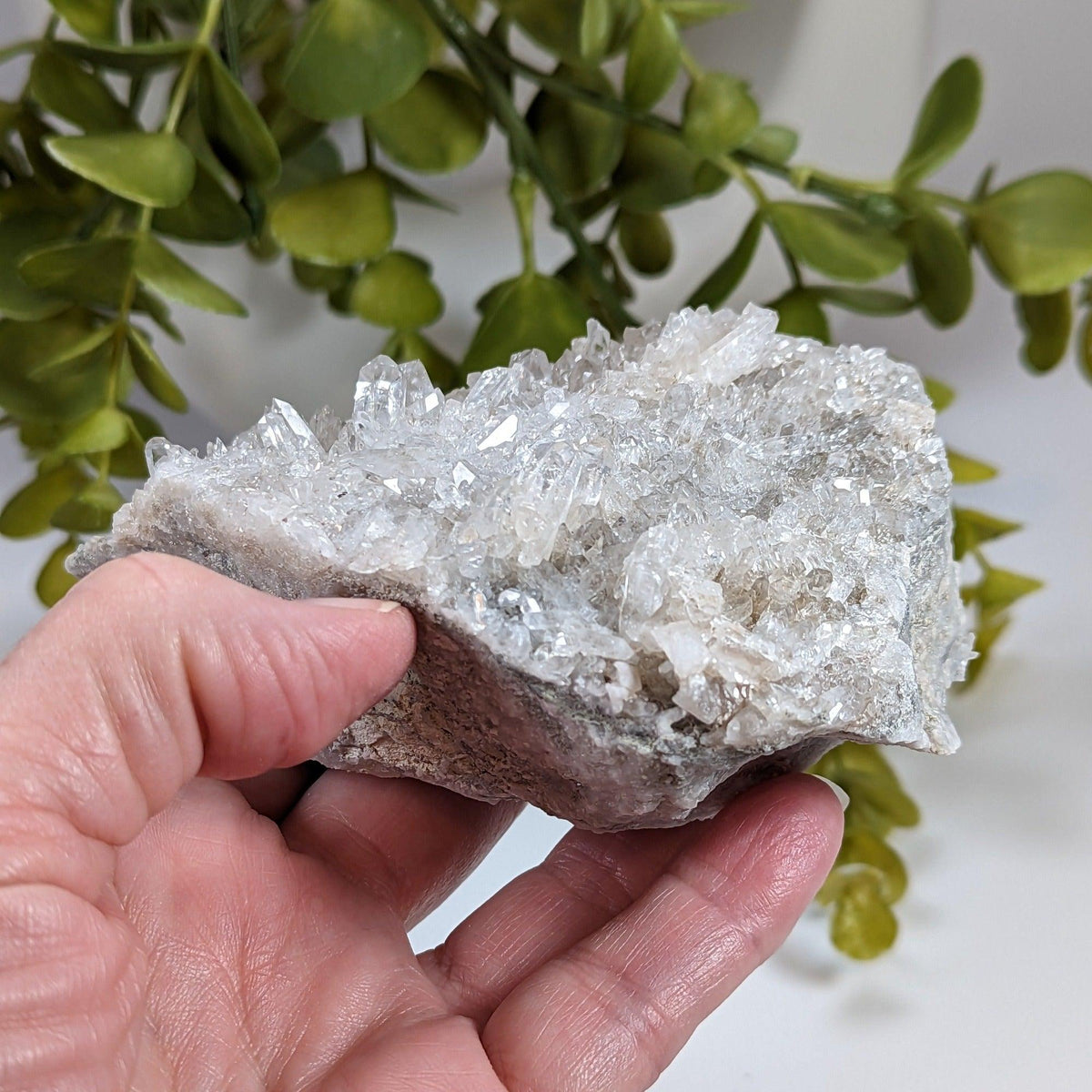  Quartz Points Crystal Cluster | 499 gr | Schodack Landing, New York USA 7